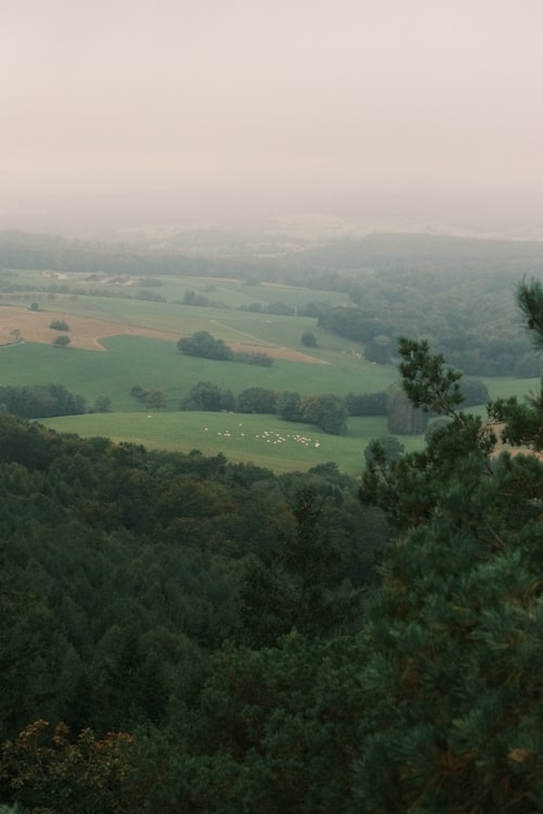 Rolling green hills and forests of western Kenya