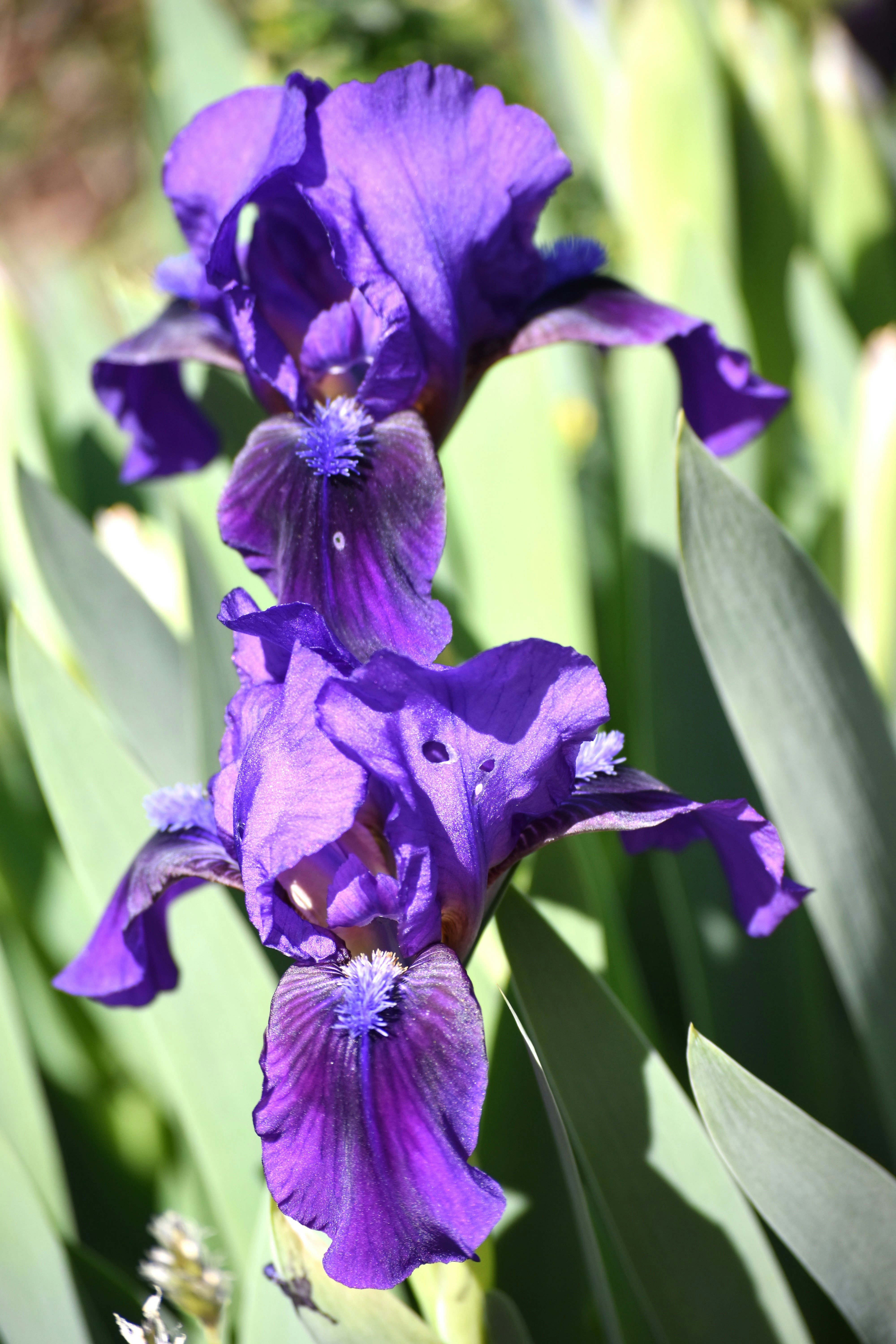 Photo by danielelarosa