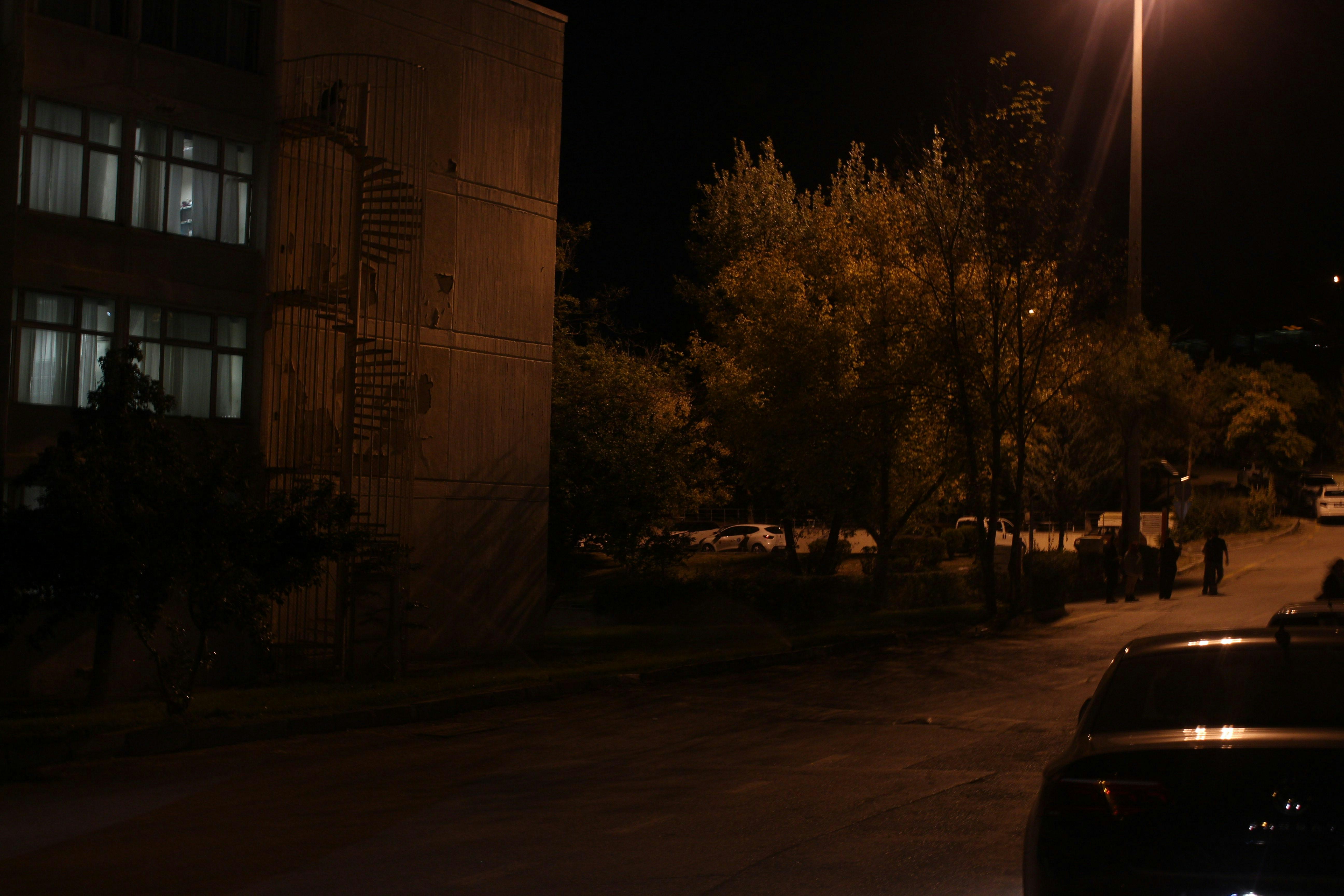 Street scene at night with building and trees