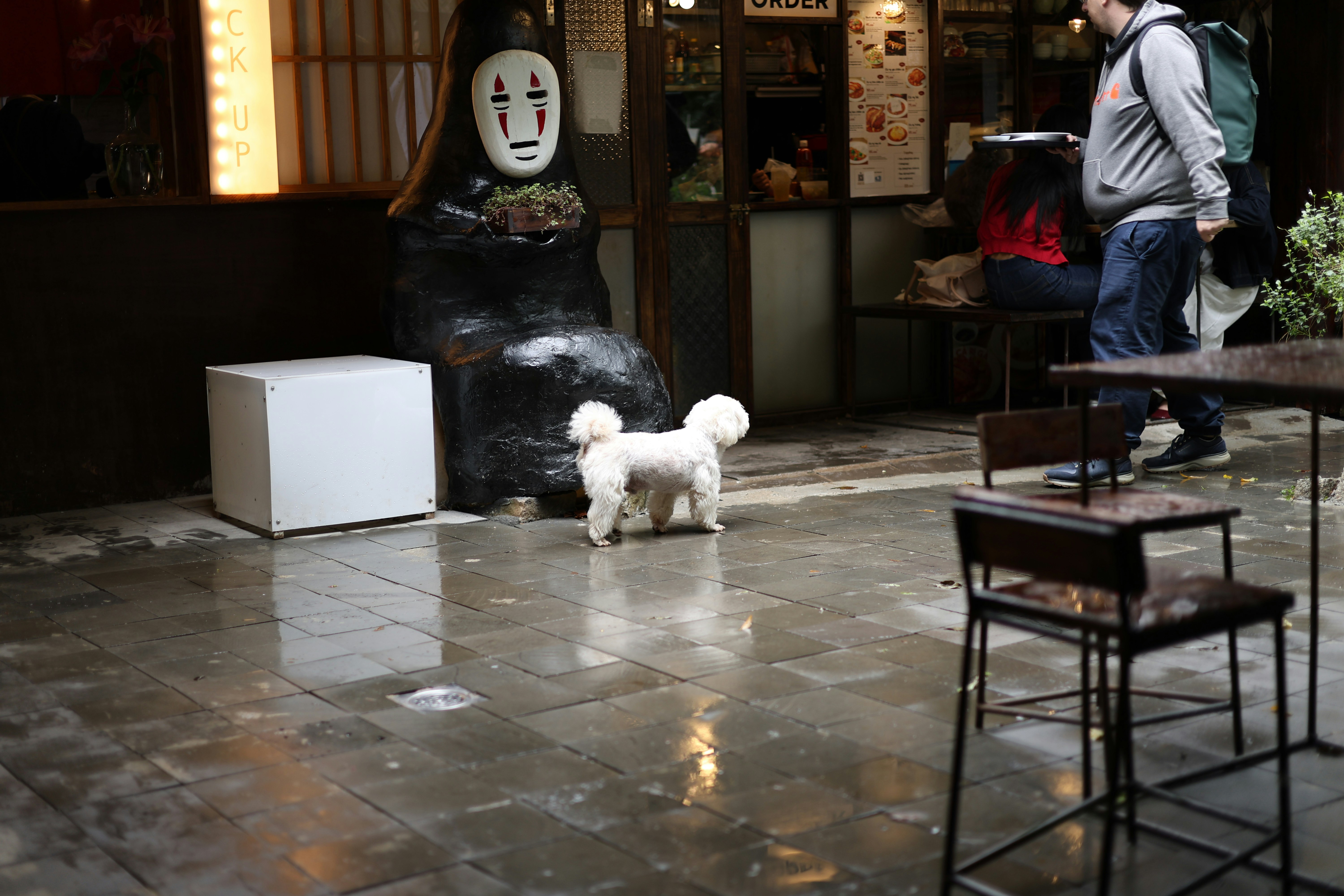Small white dog standing on wet pavement near statue.