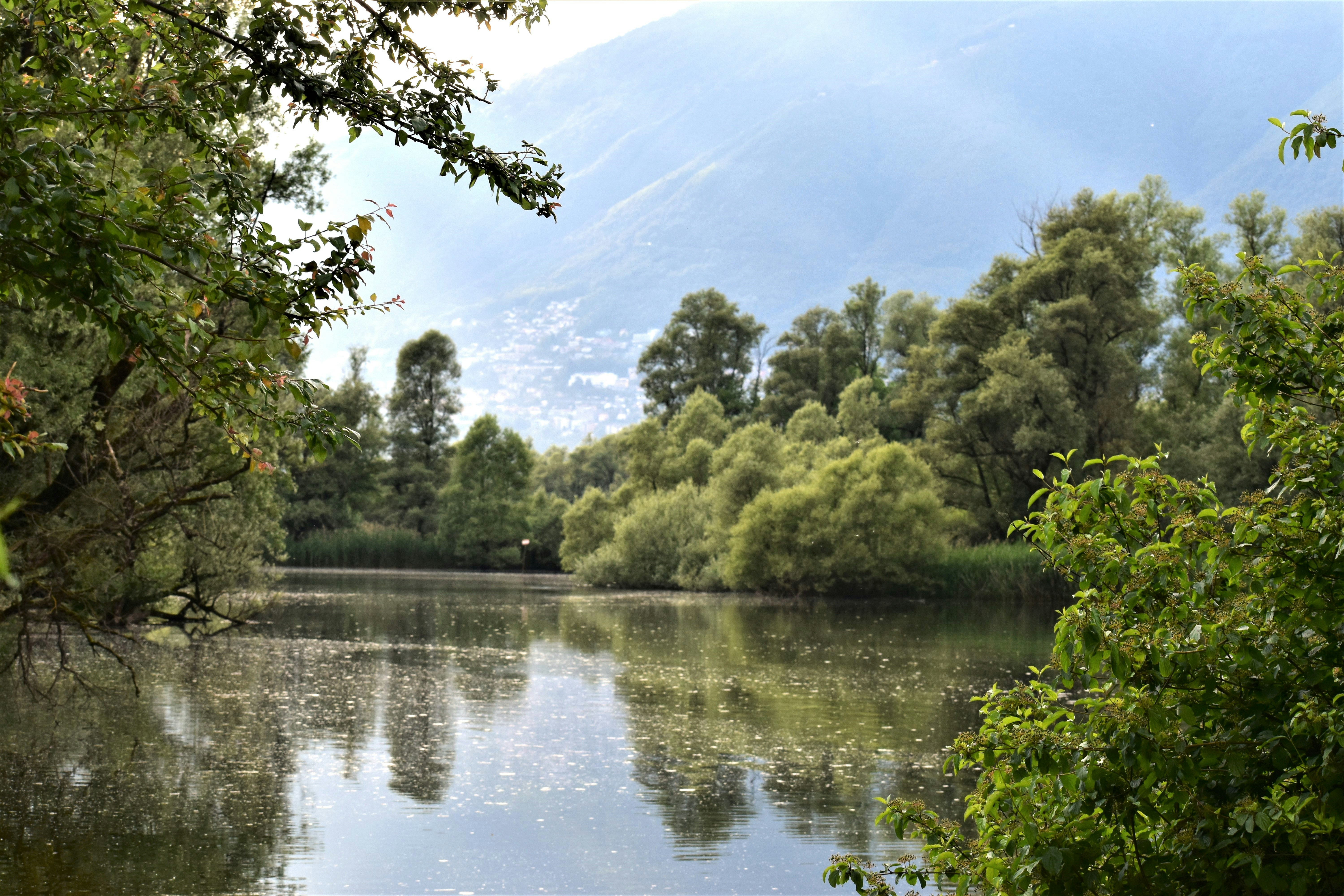 Photo by danielelarosa