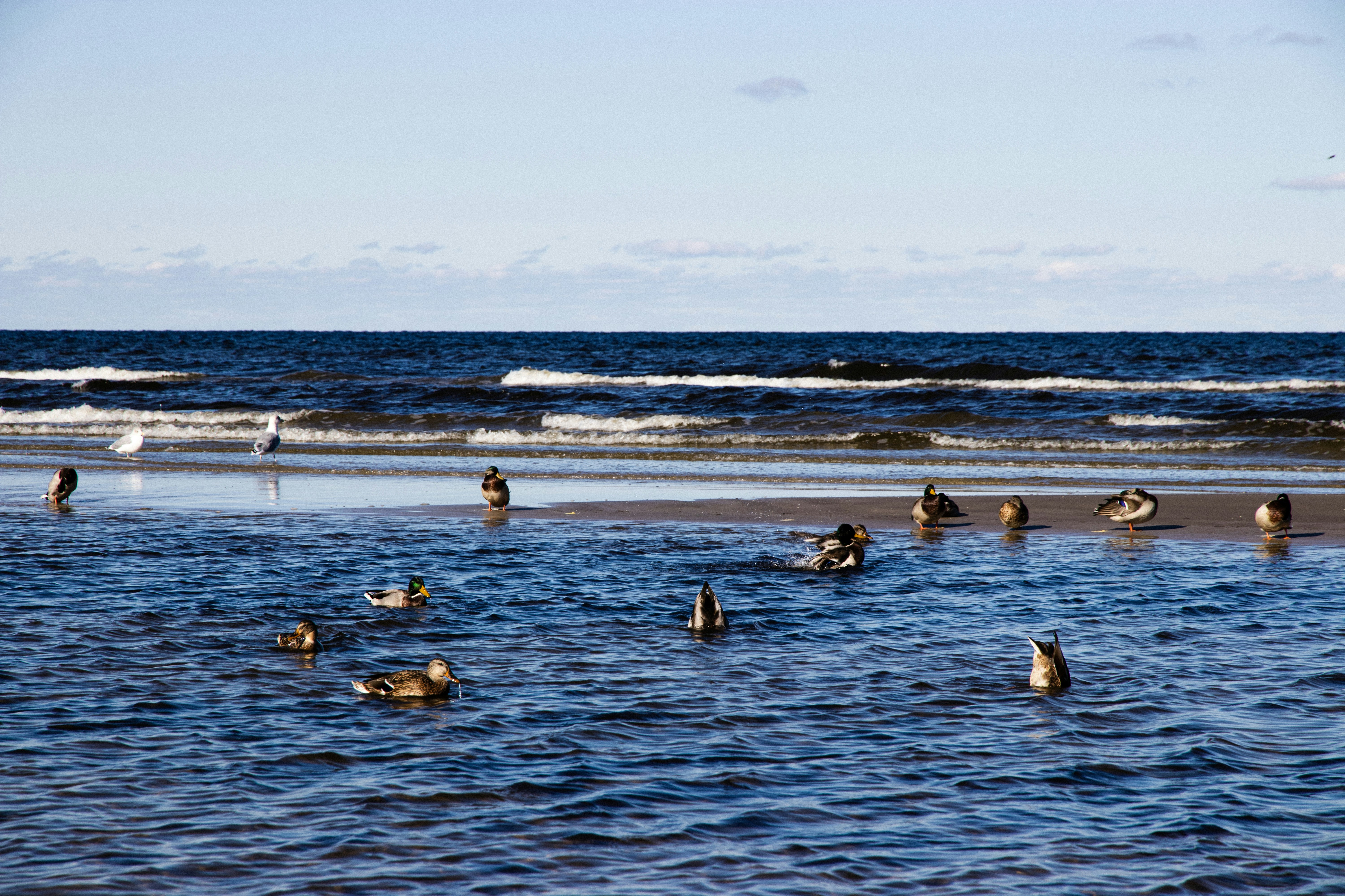 Photo by reinisbruzitis