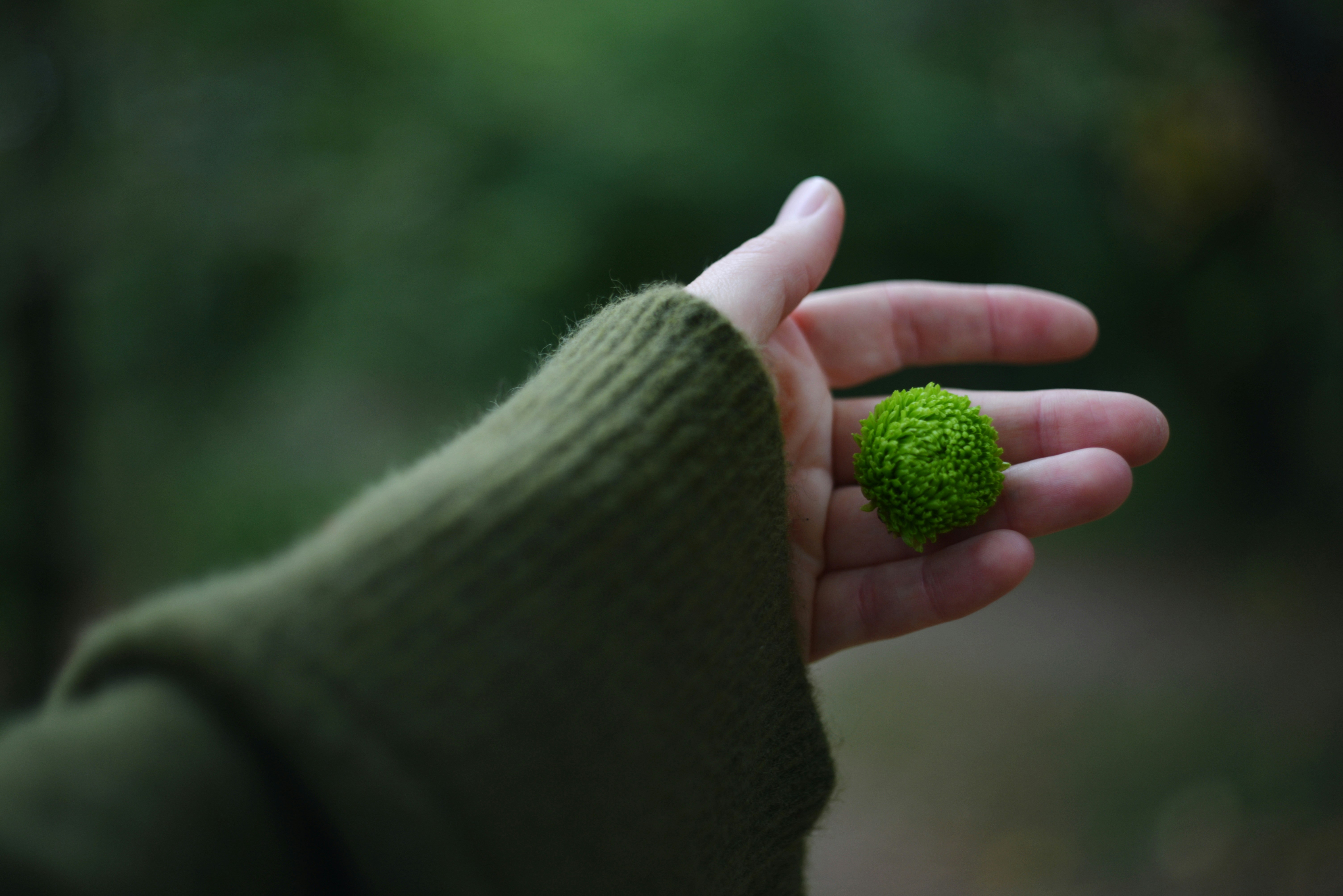 Photo by cherstve_pechivo