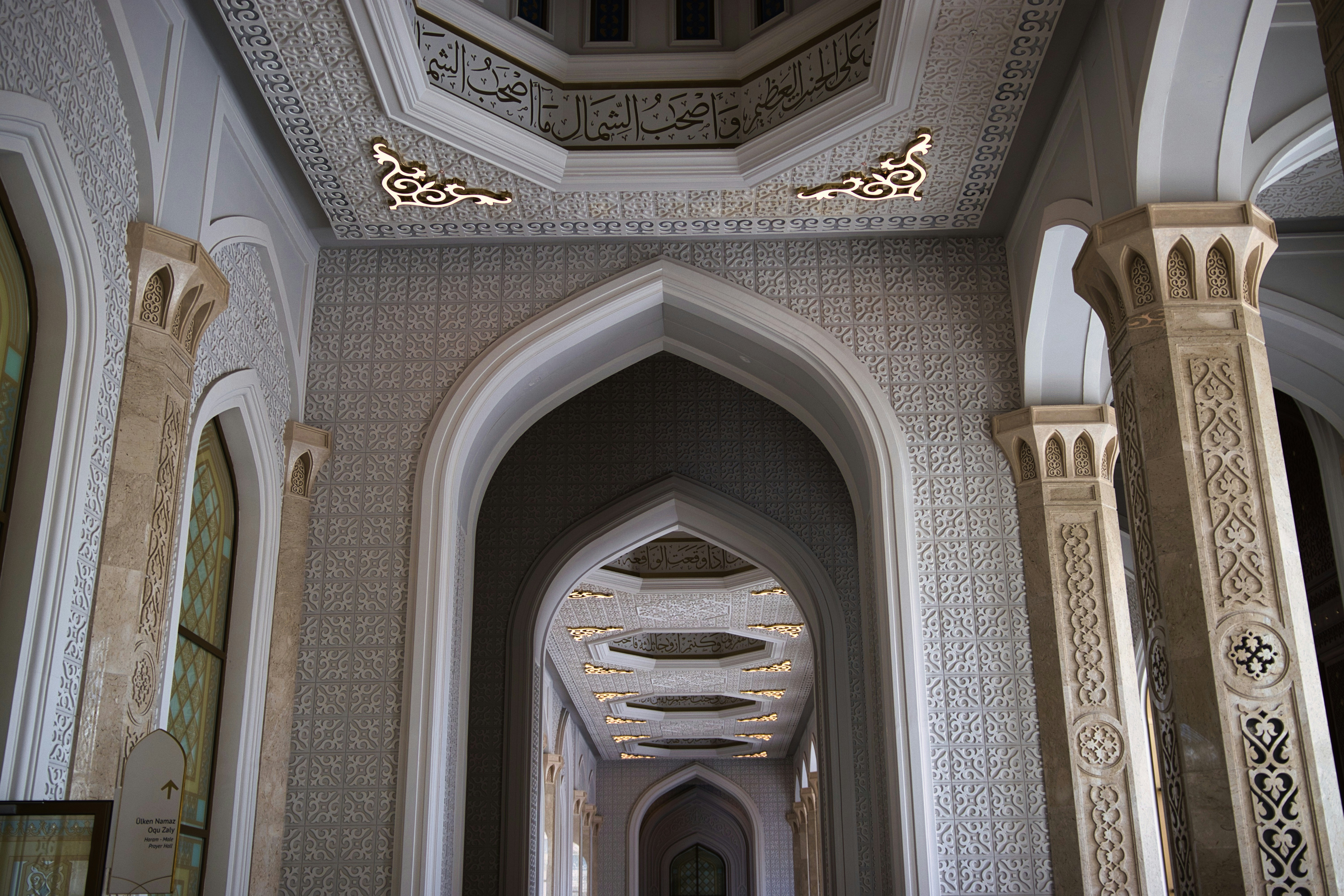 Photo by paws_and_prints