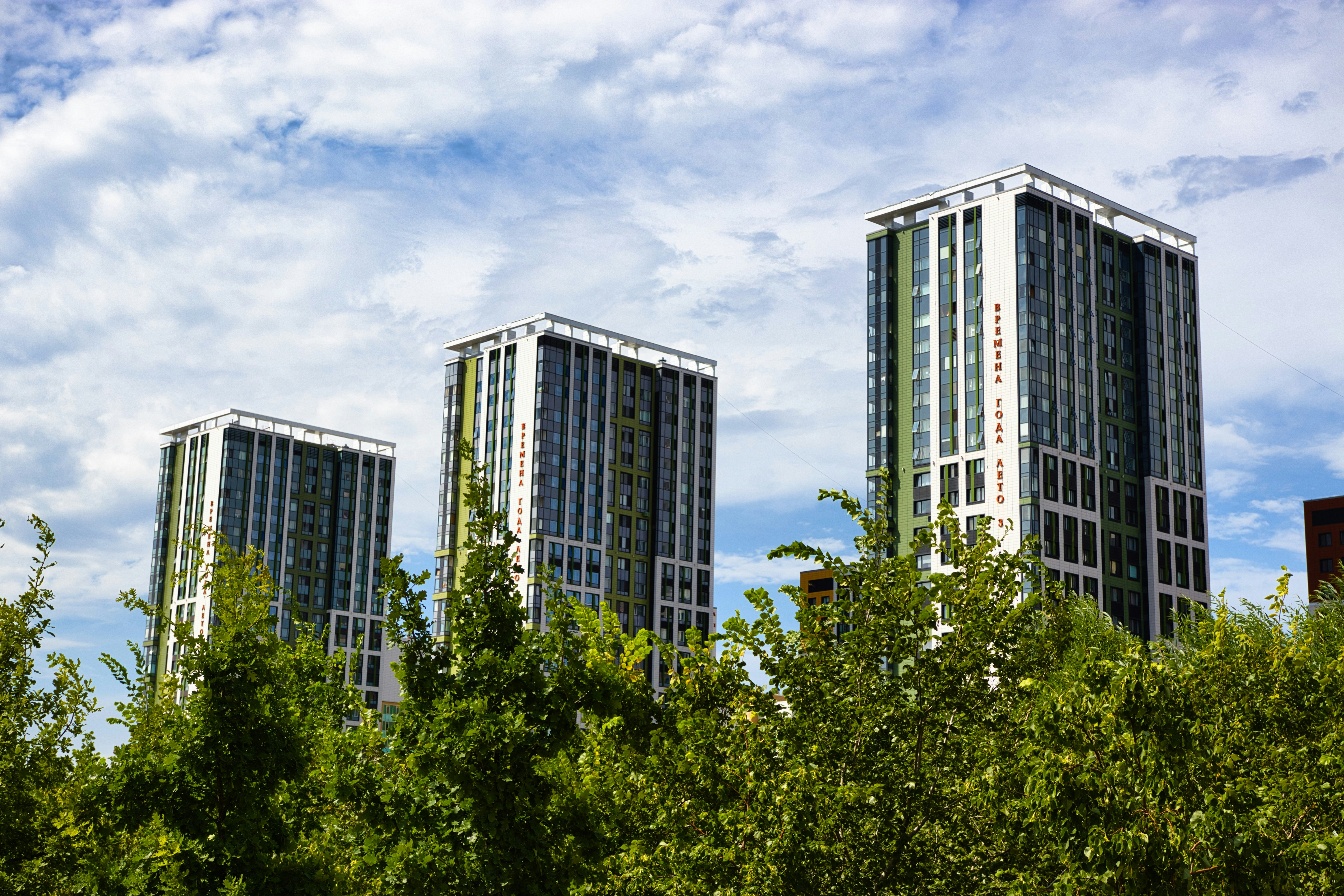 Photo by paws_and_prints