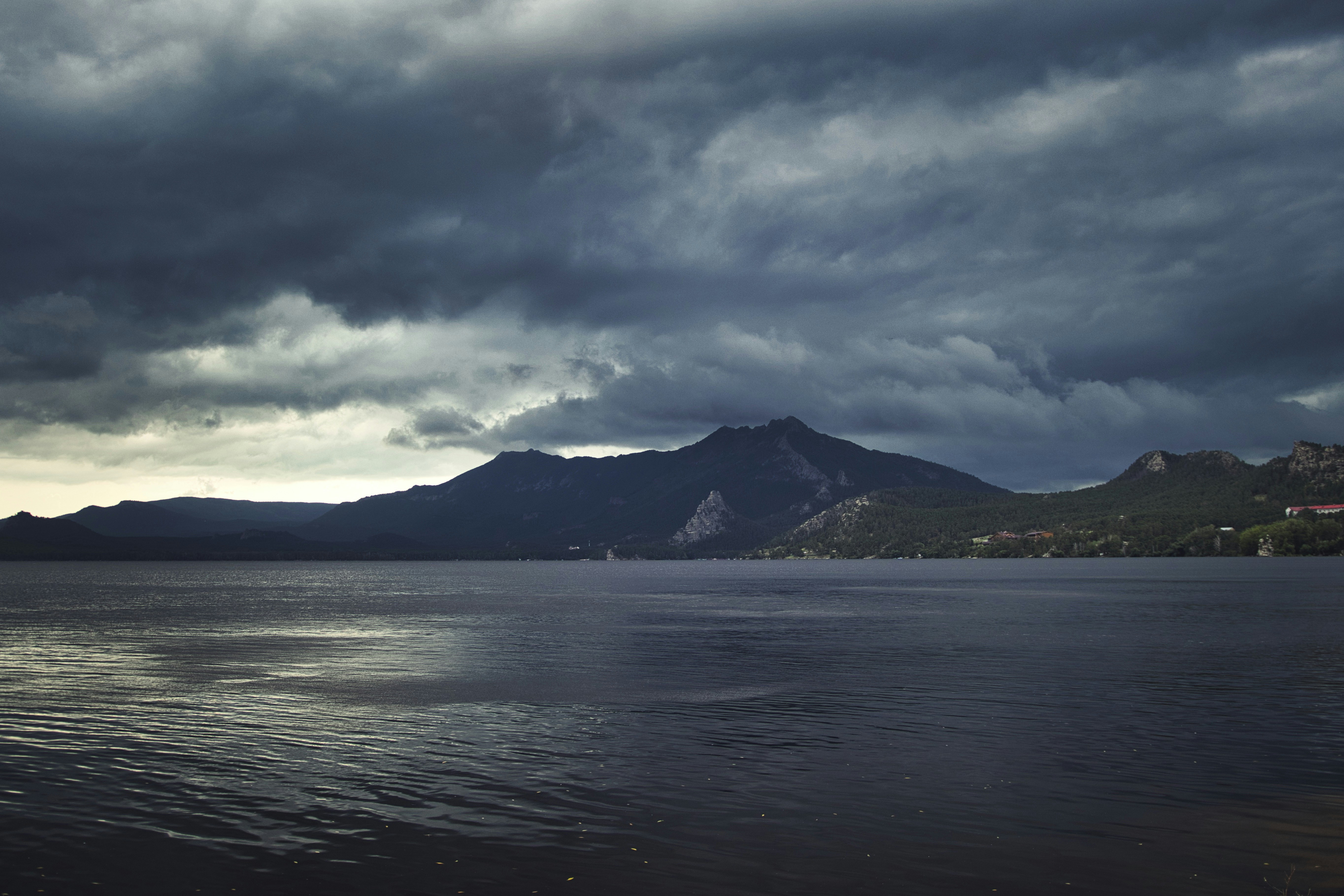 Photo by paws_and_prints