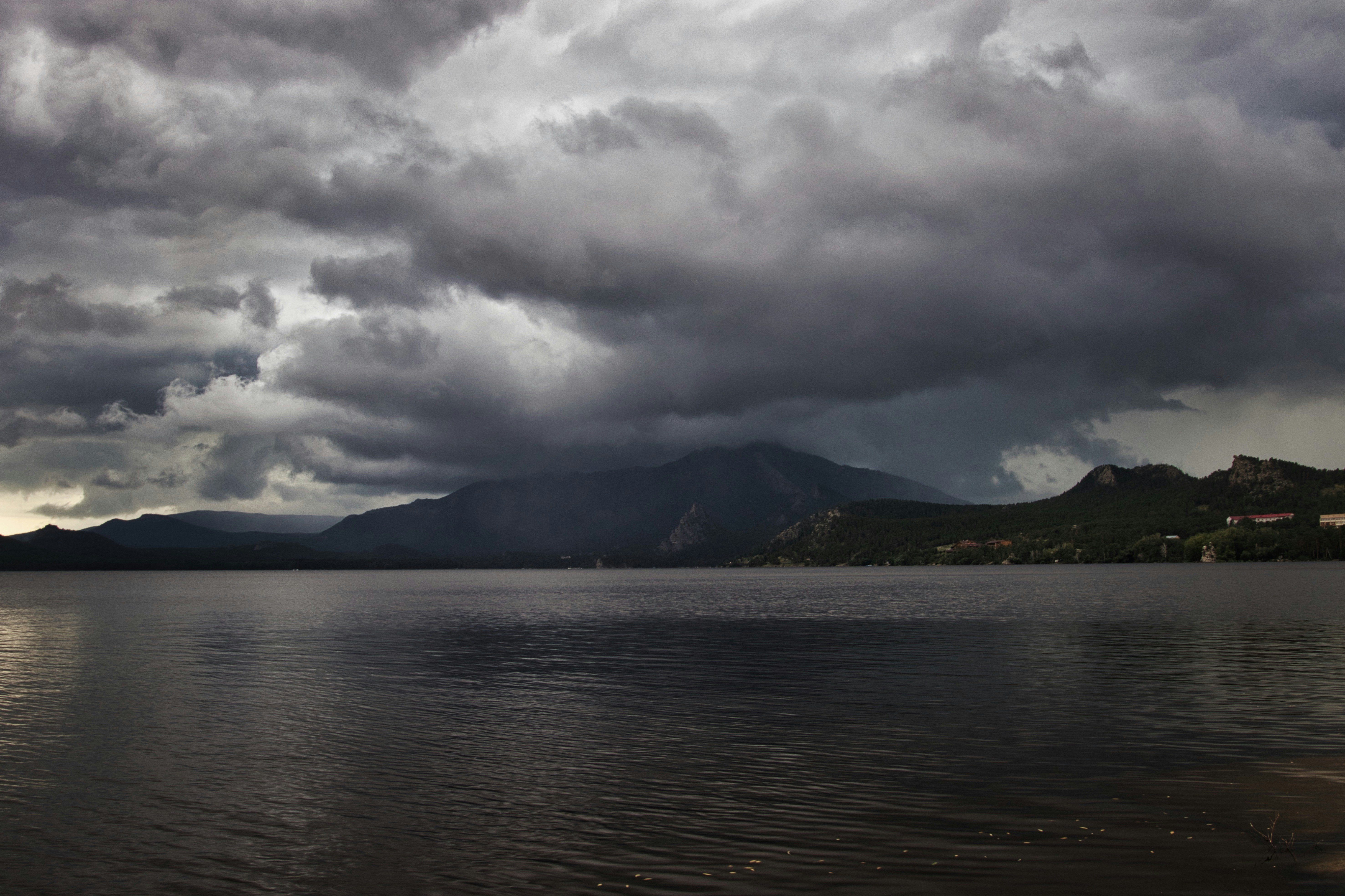 Photo by paws_and_prints