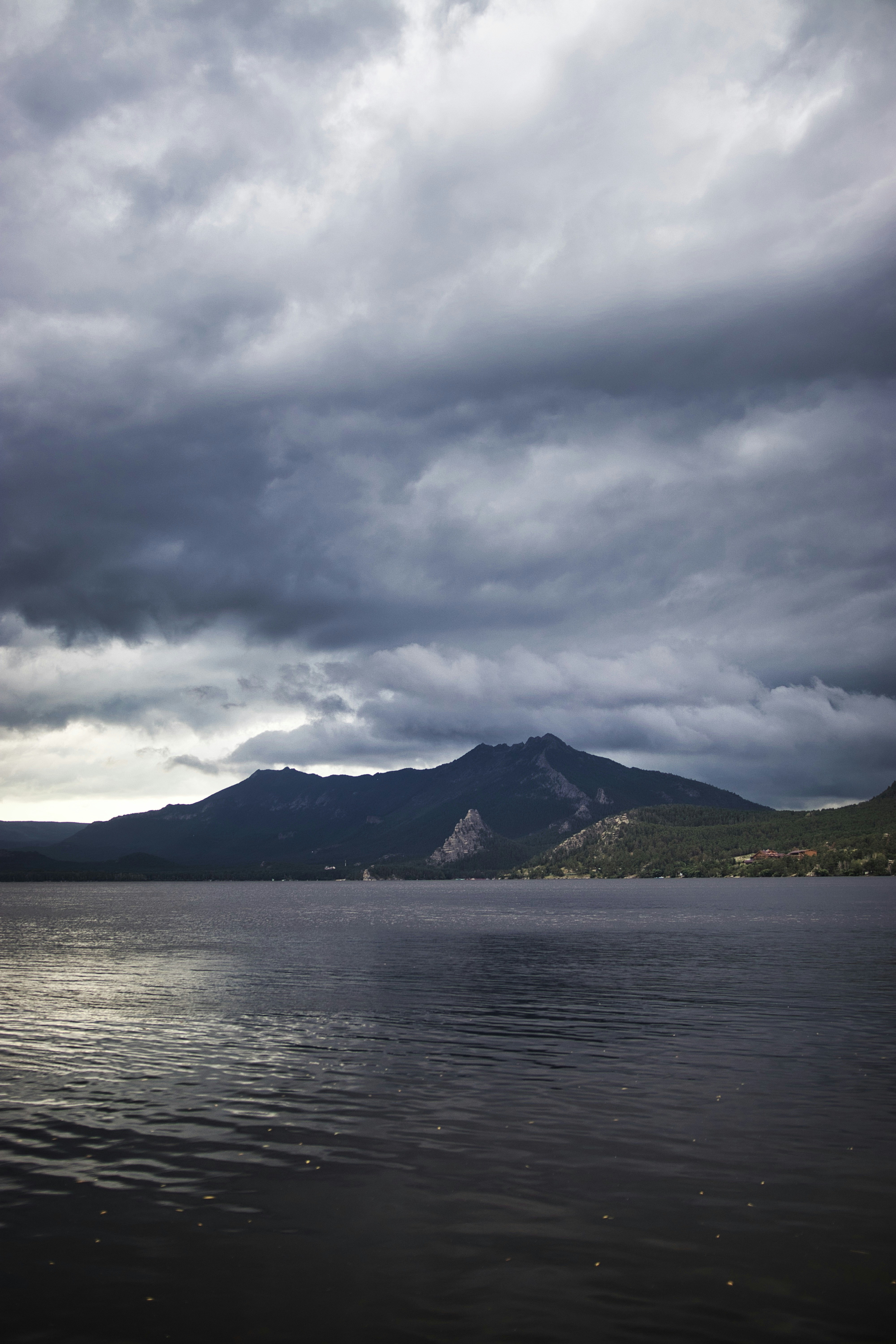 Photo by paws_and_prints