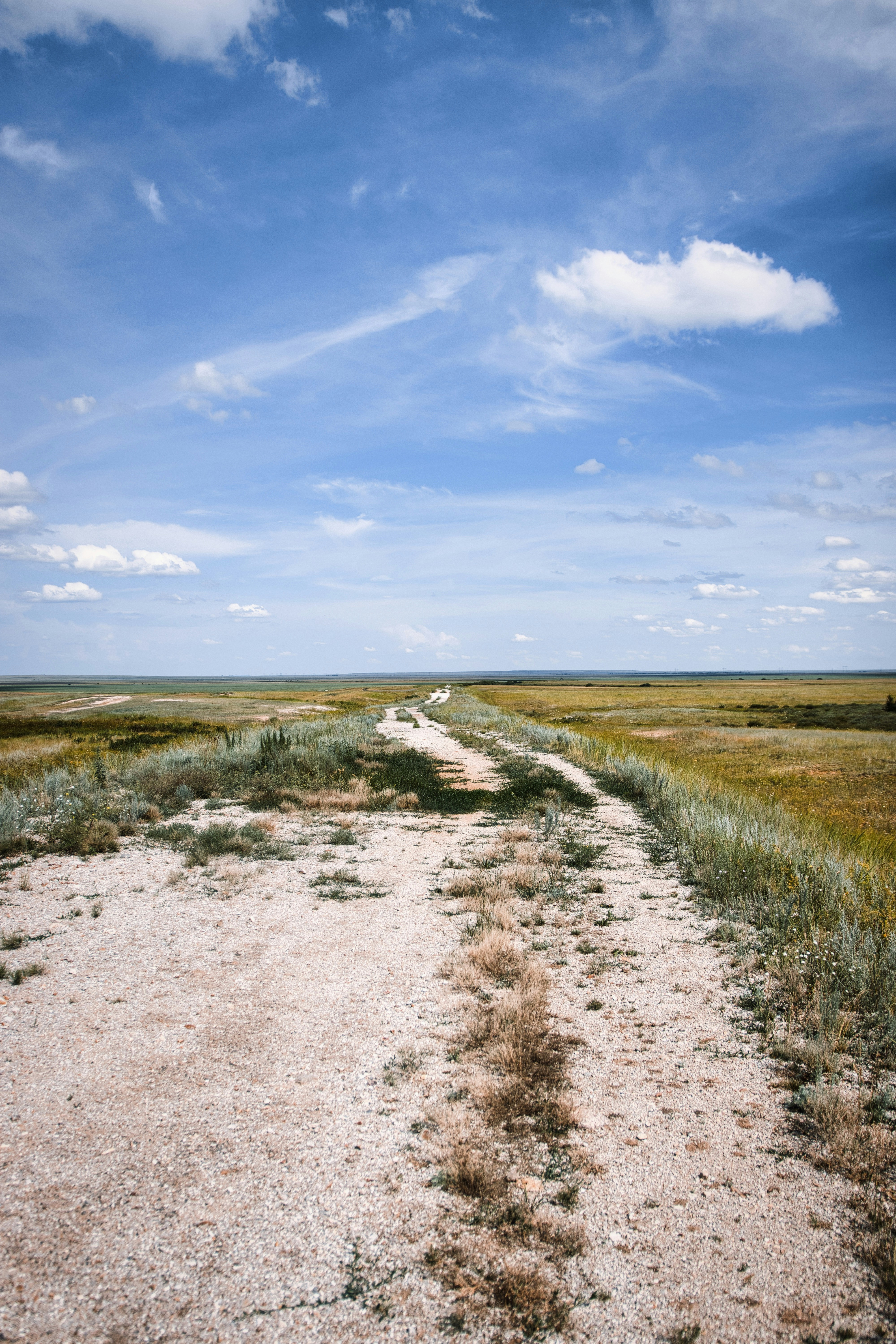 Photo by paws_and_prints