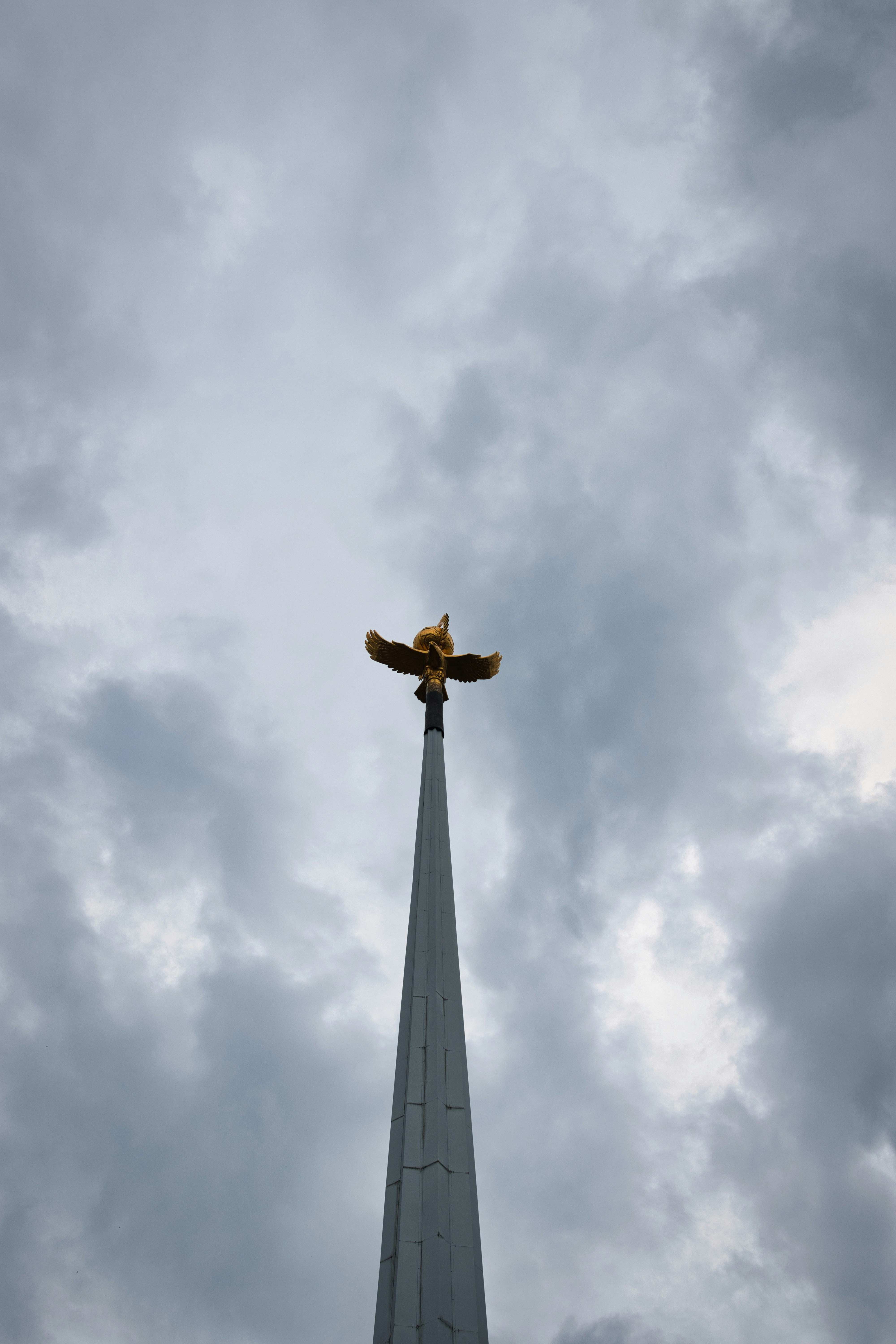 Photo by paws_and_prints