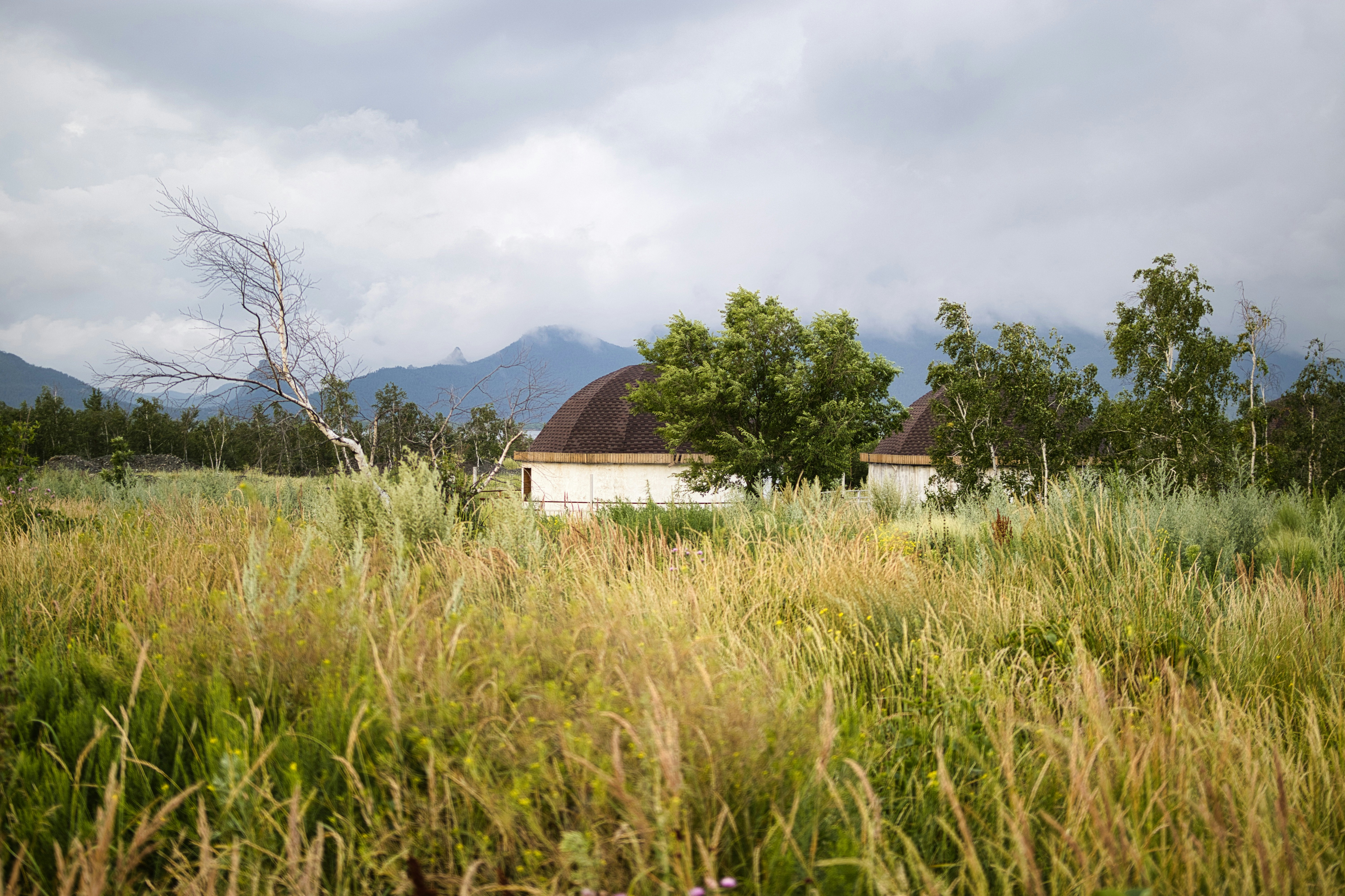 Rural landscape with houses and mountains under cloudy sky.