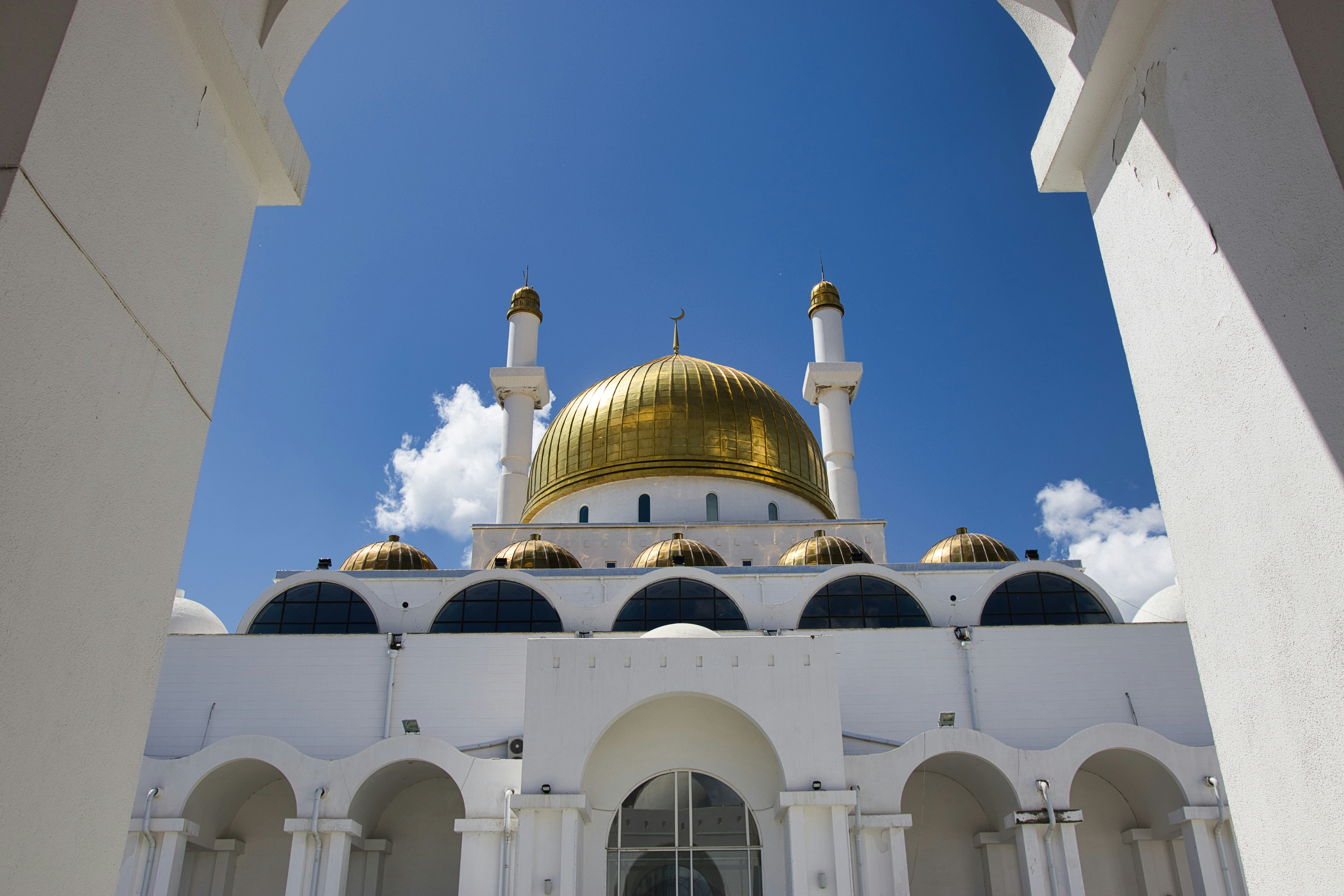 Photo by paws_and_prints