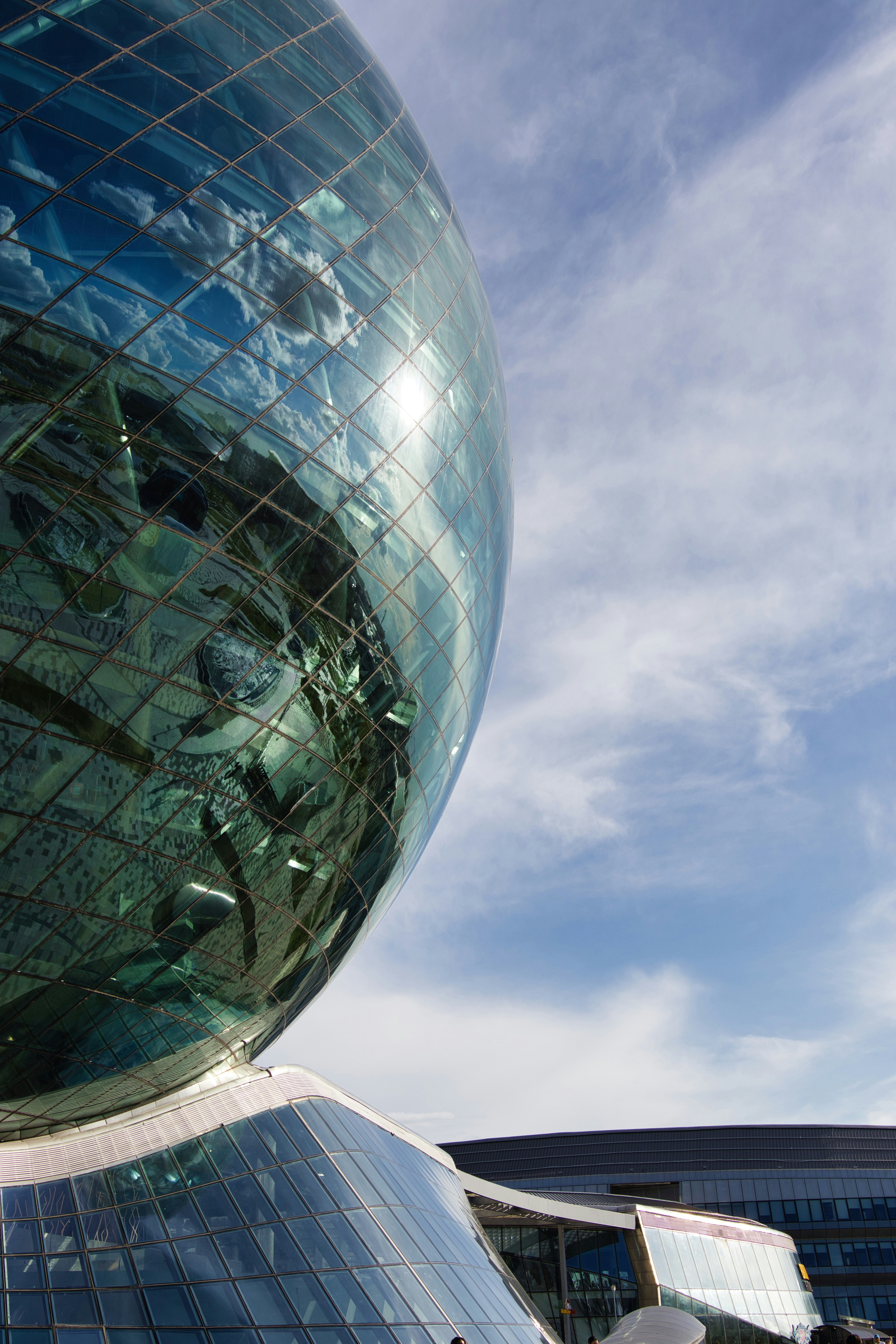 Photo by paws_and_prints