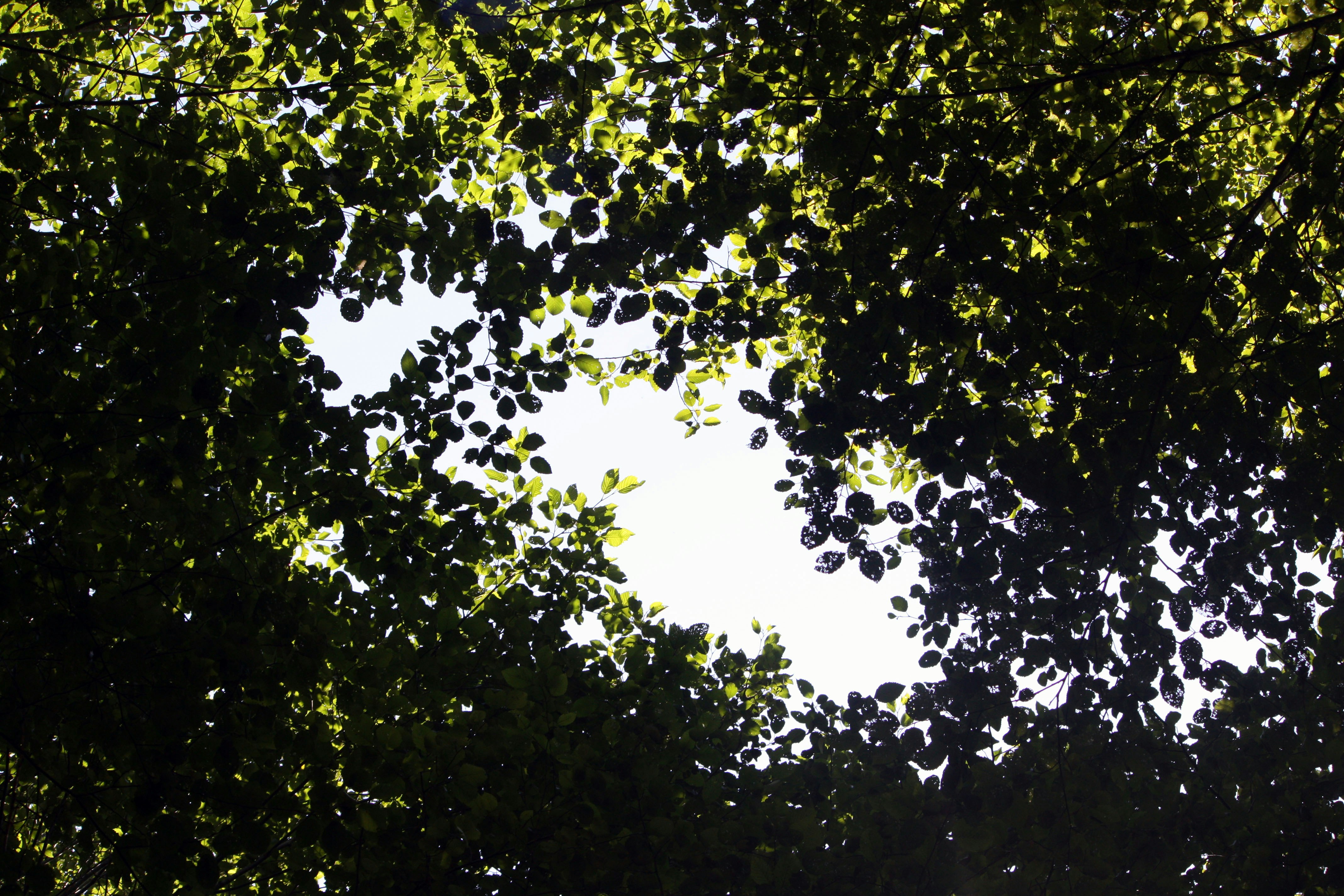 Photo by meghan_gordon