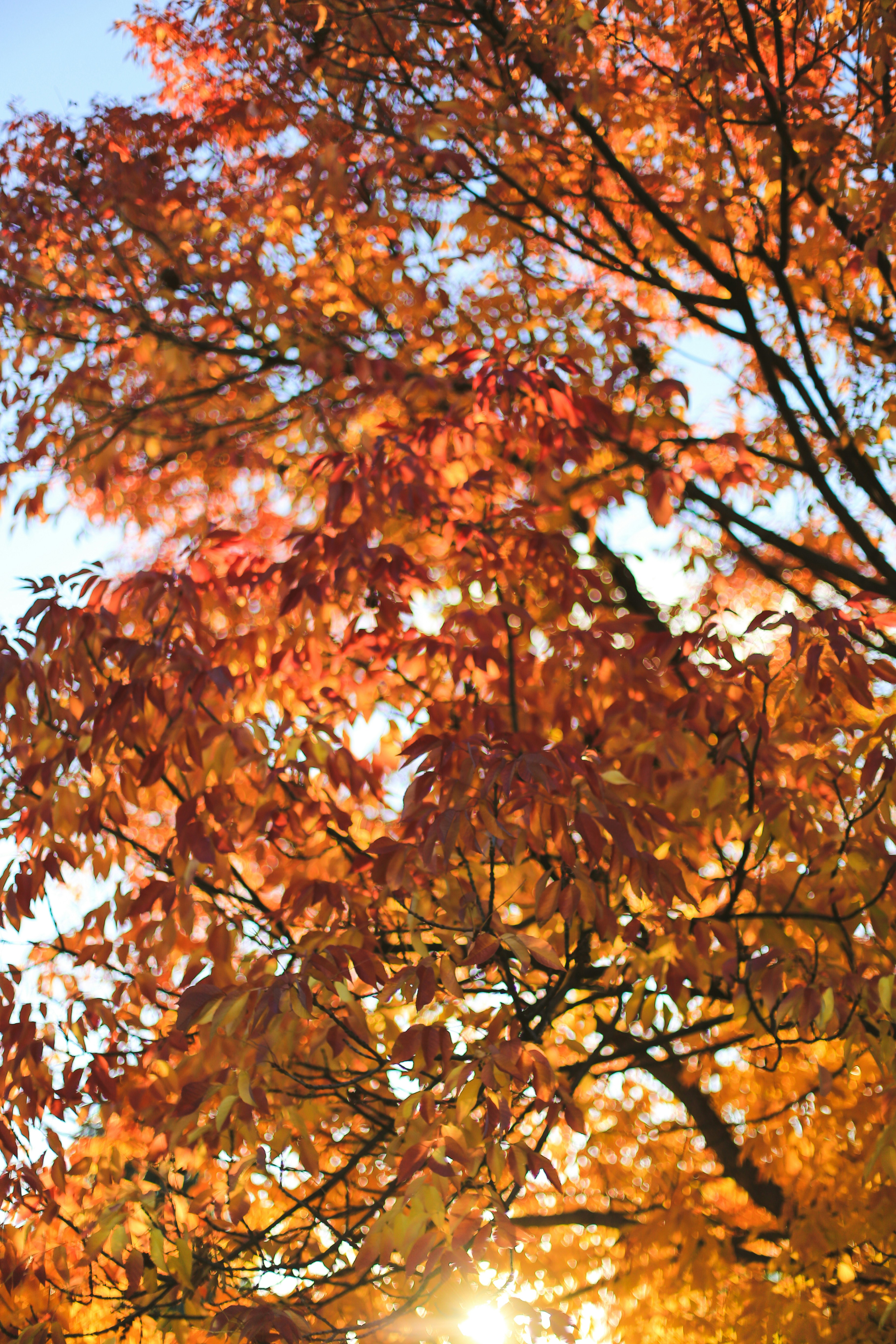 Photo by jessicalfadel