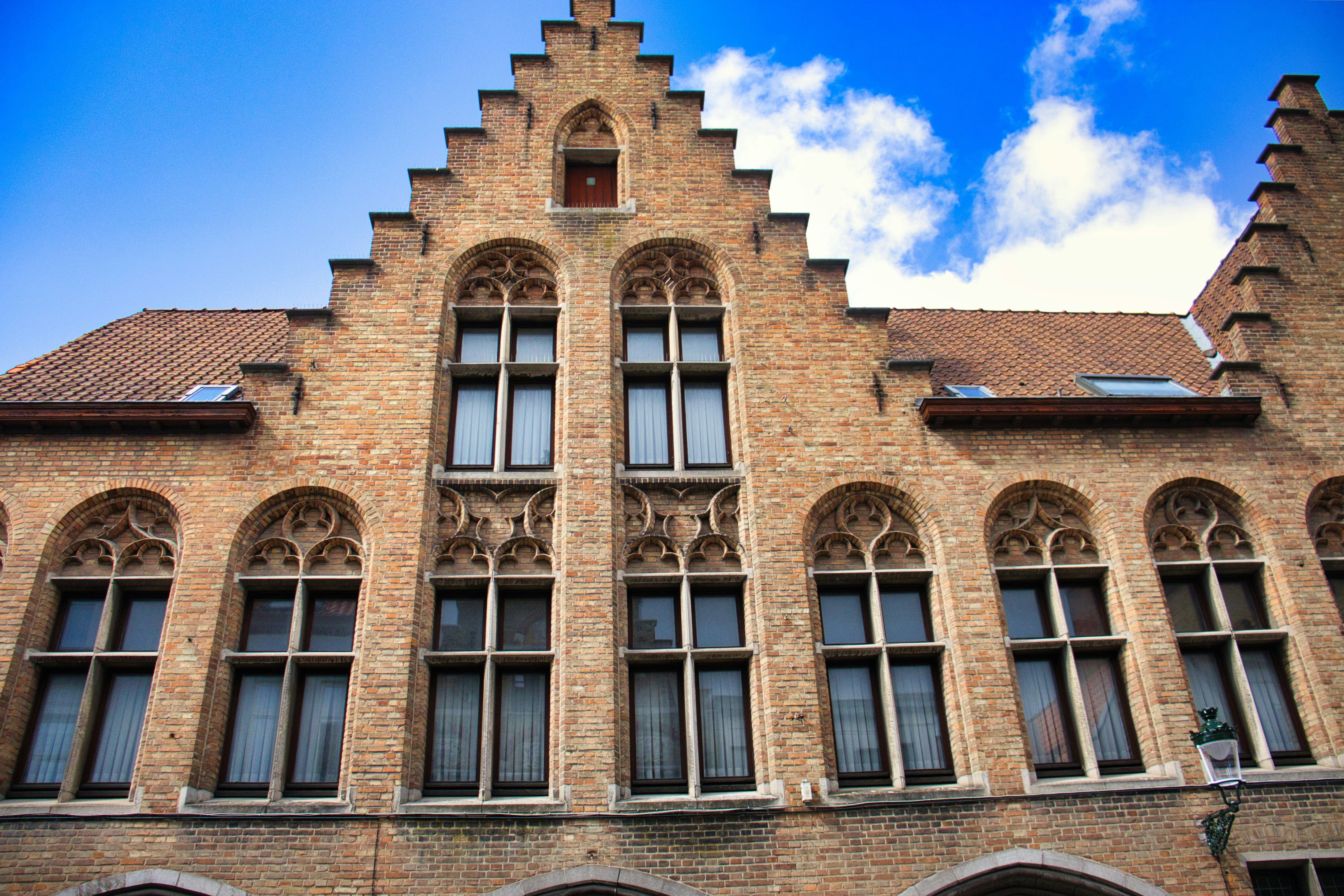 Photo by paws_and_prints