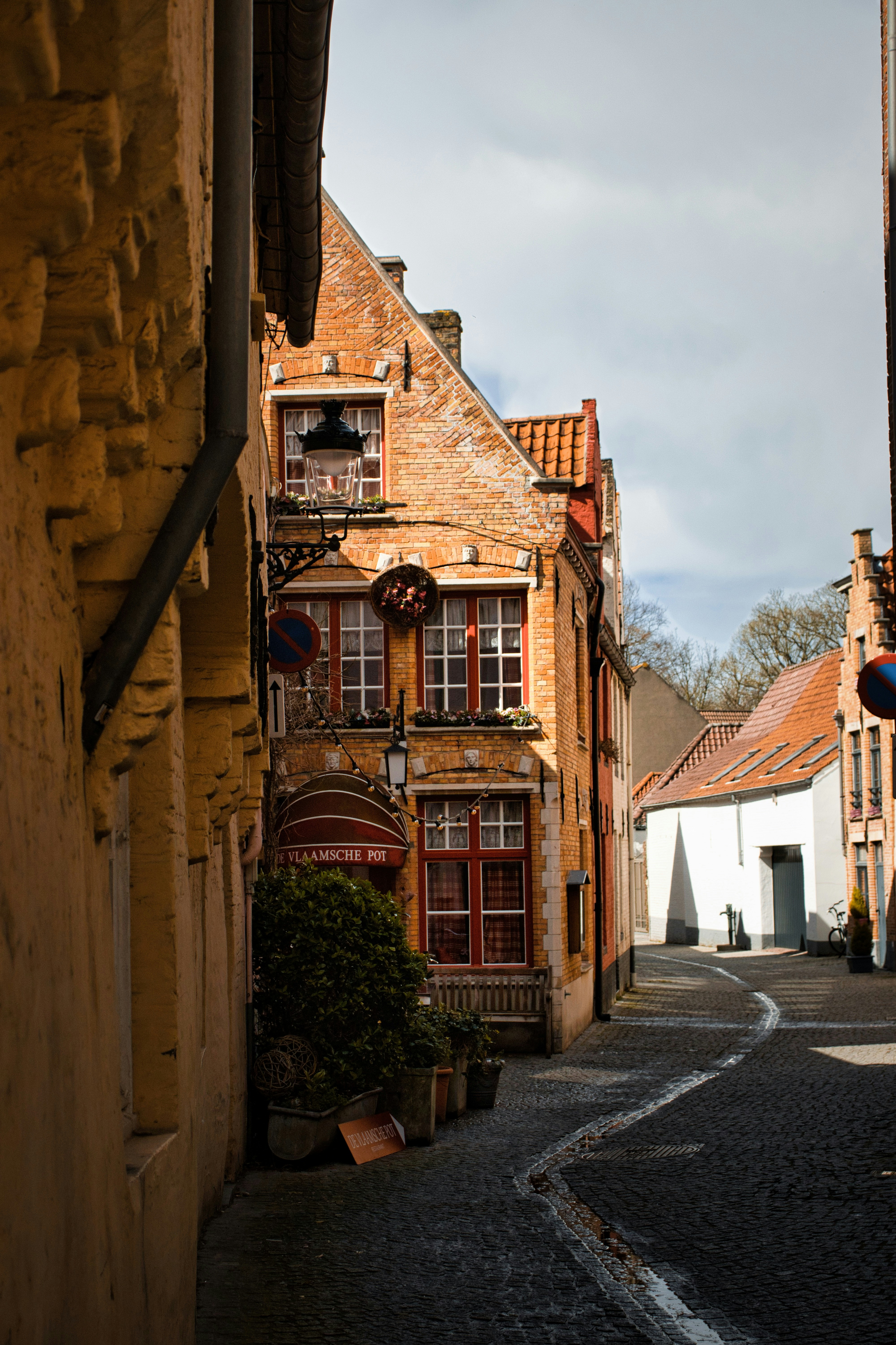 Photo by paws_and_prints