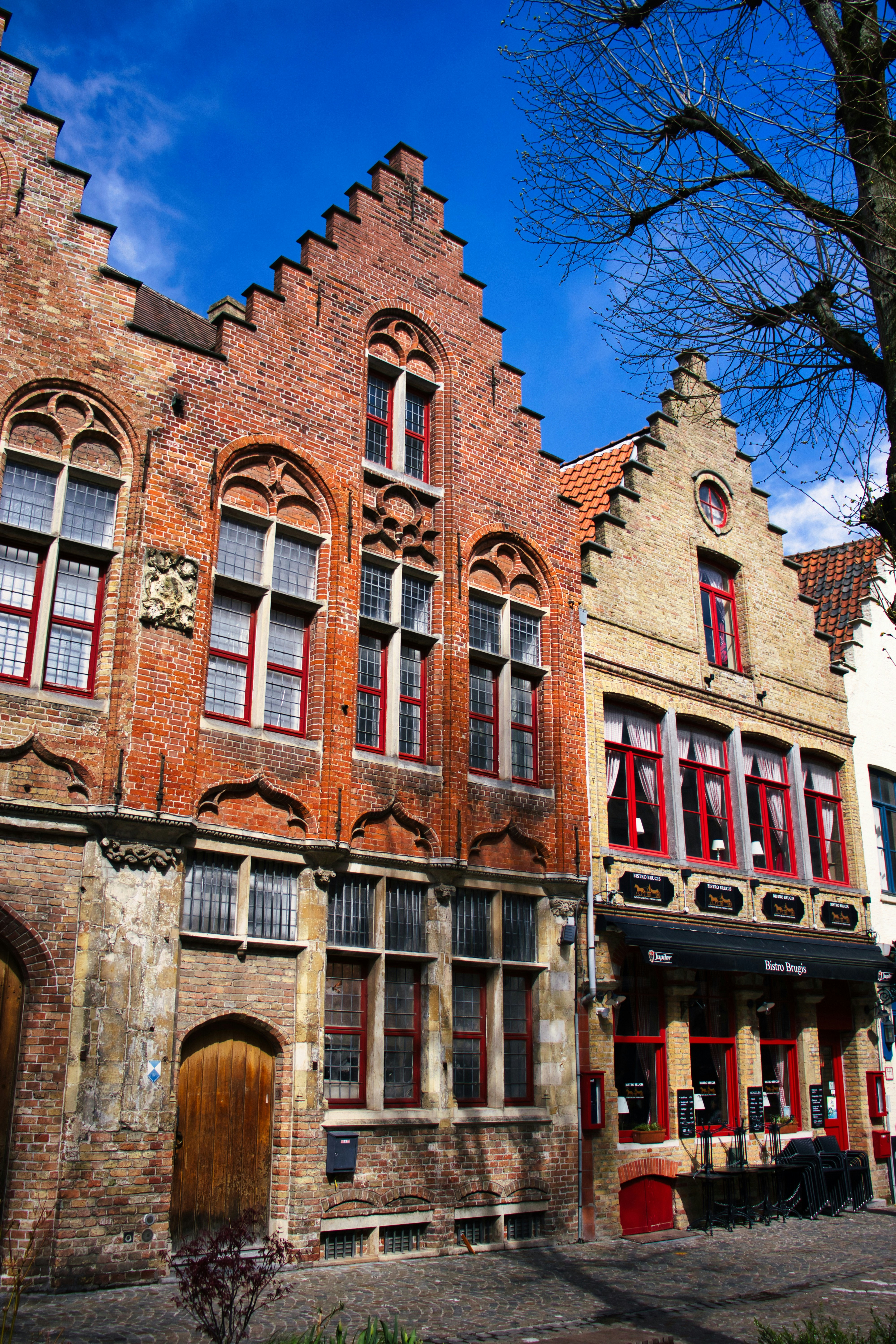 Photo by paws_and_prints