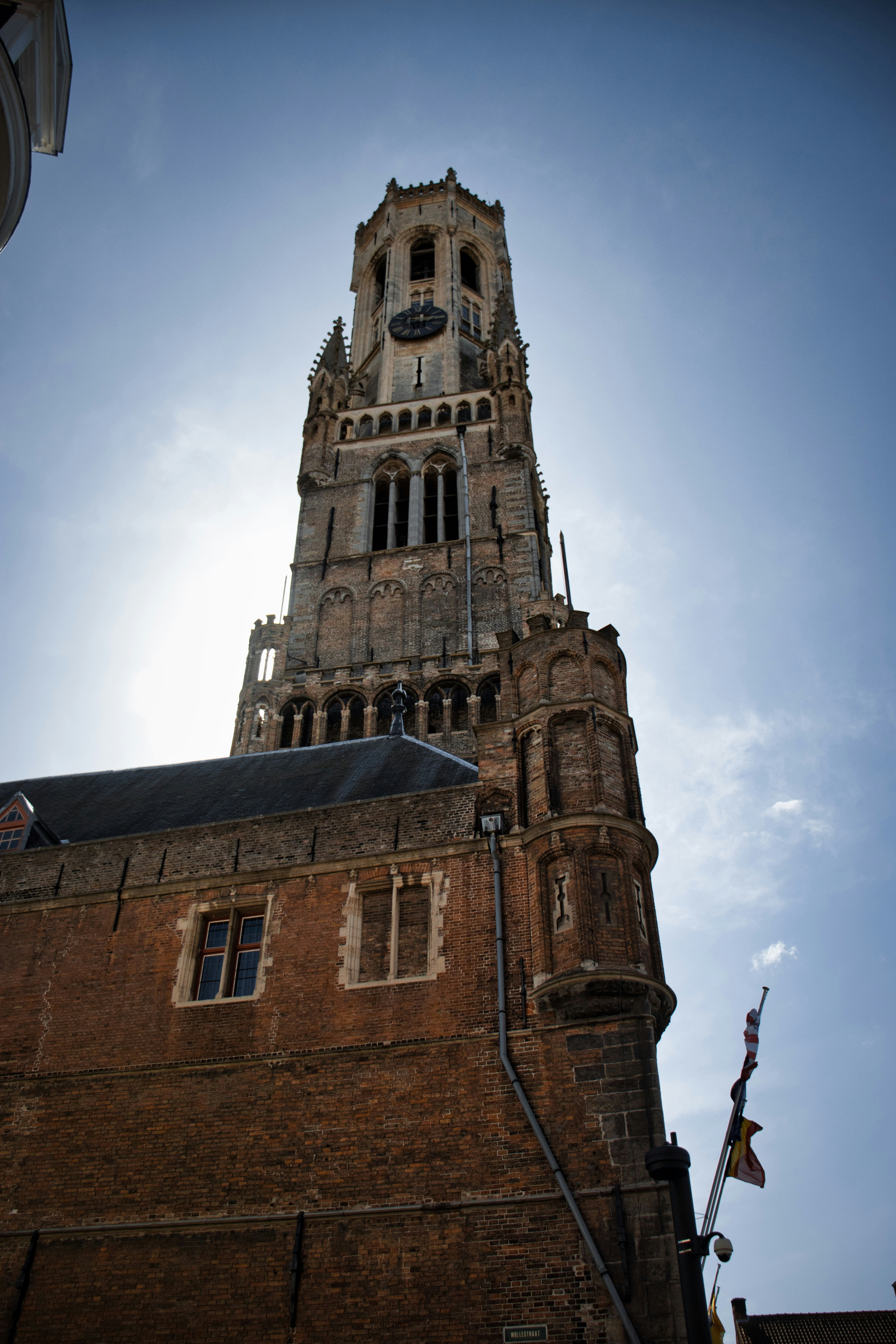 Photo by paws_and_prints