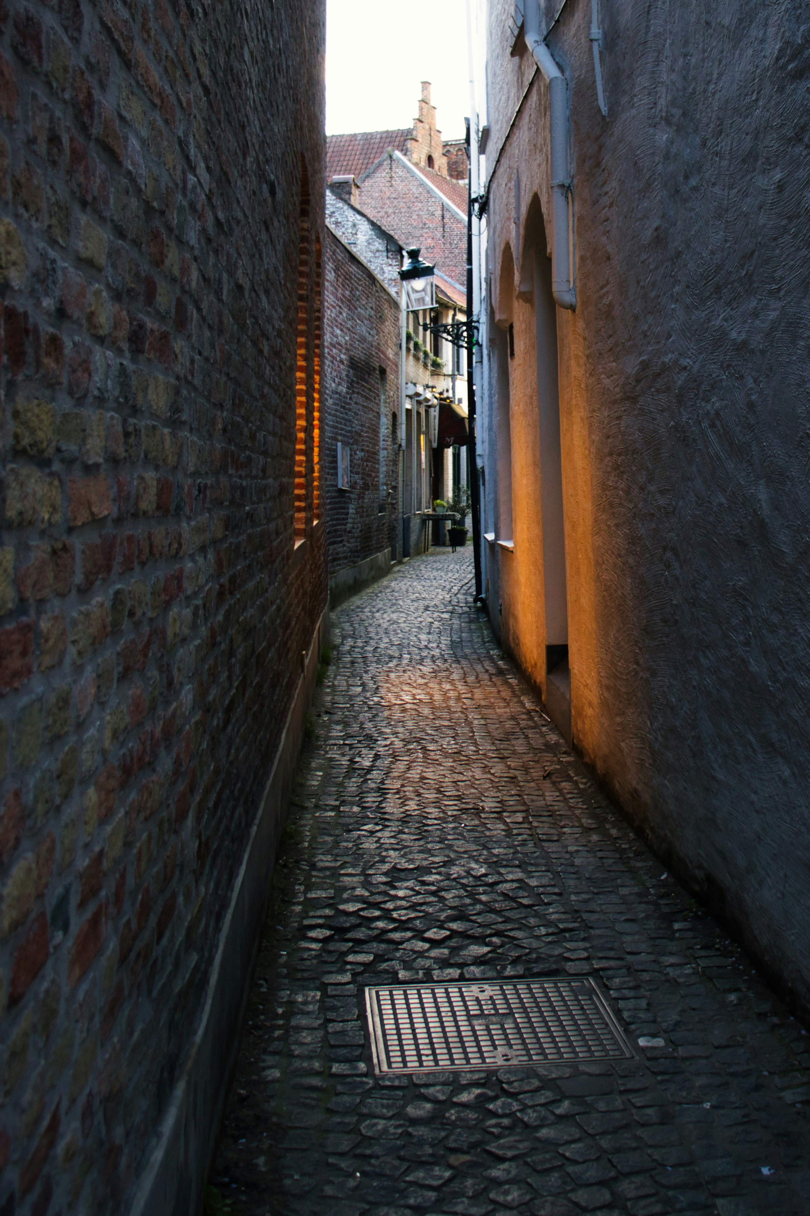 Photo by paws_and_prints