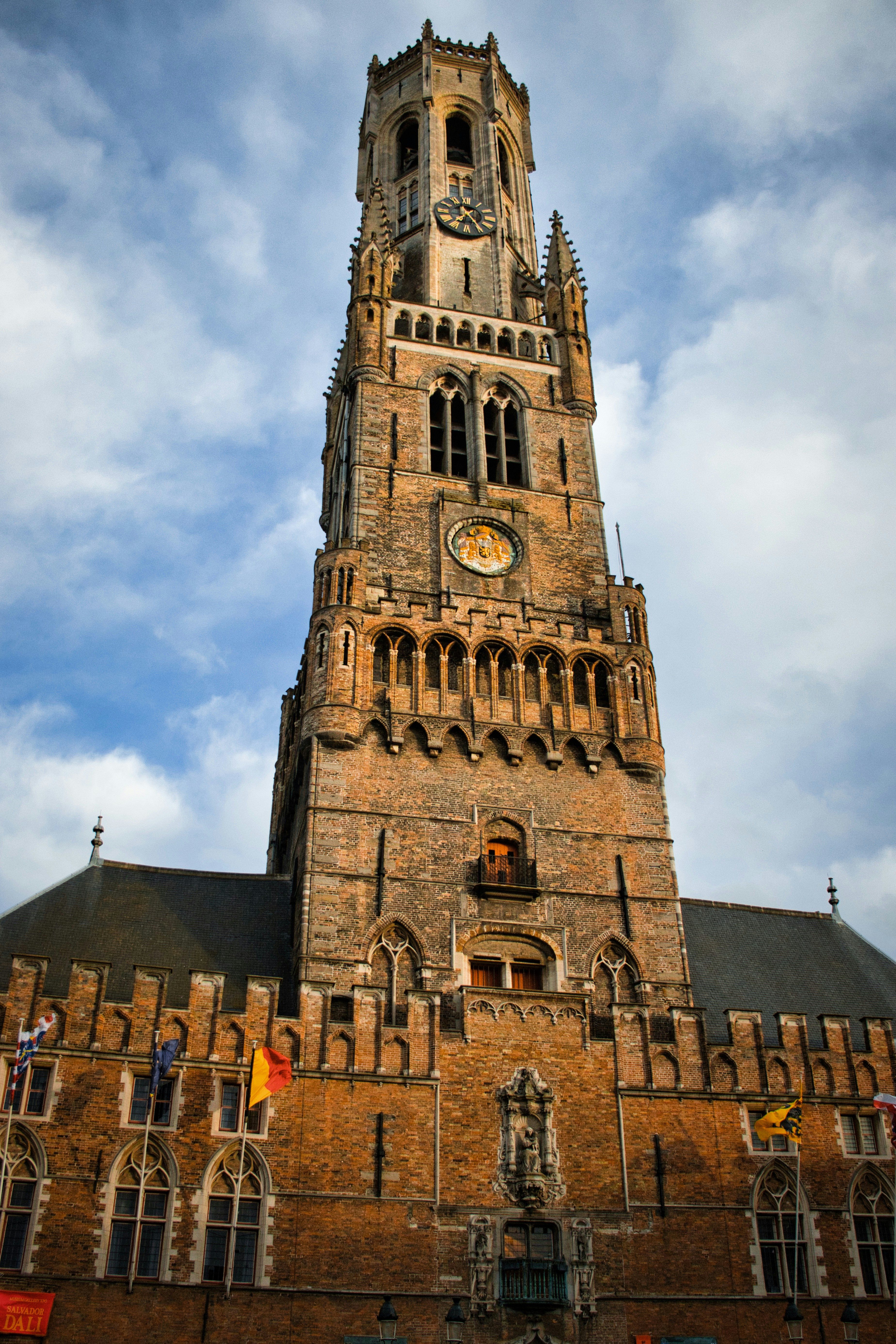 Photo by paws_and_prints