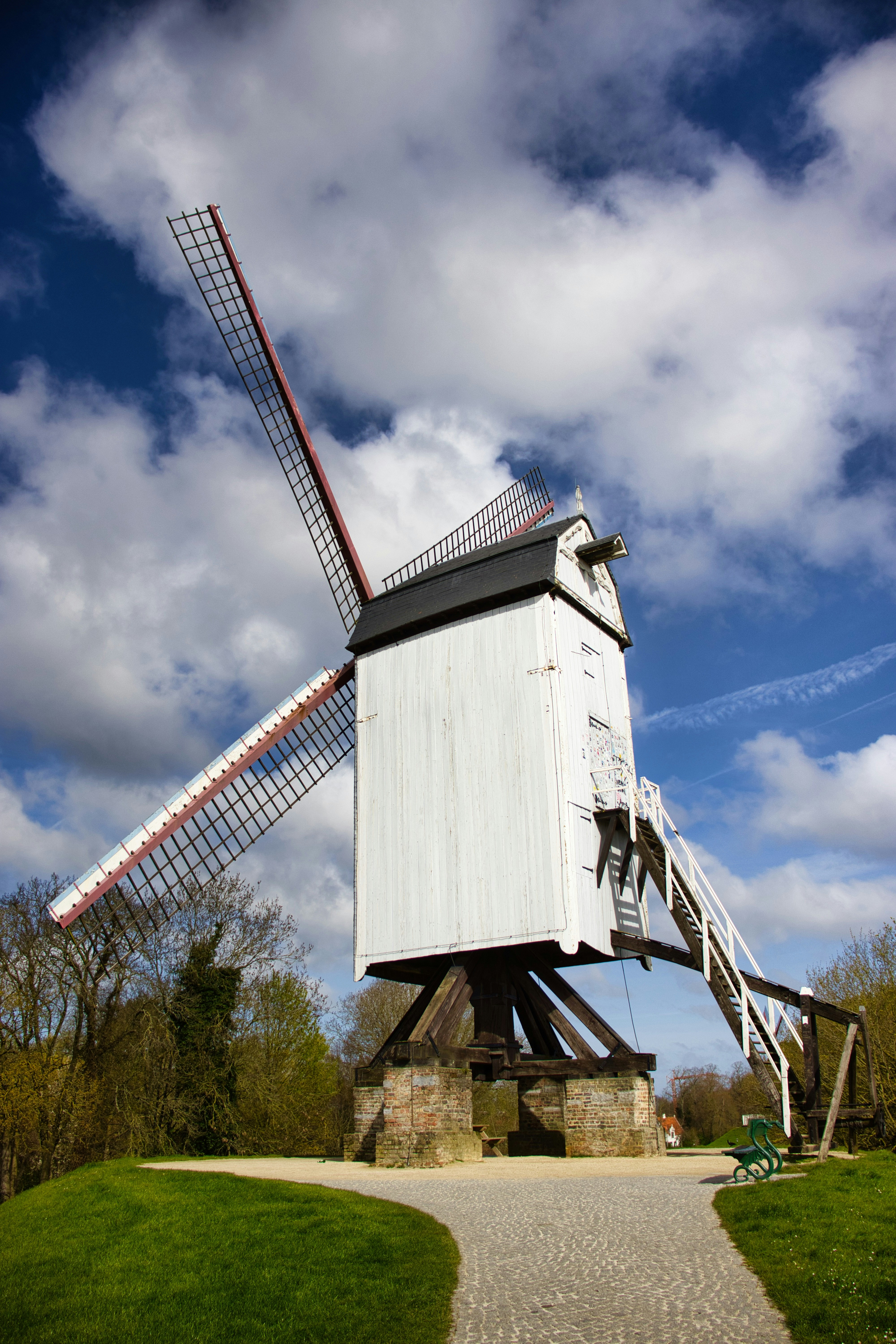 Photo by paws_and_prints