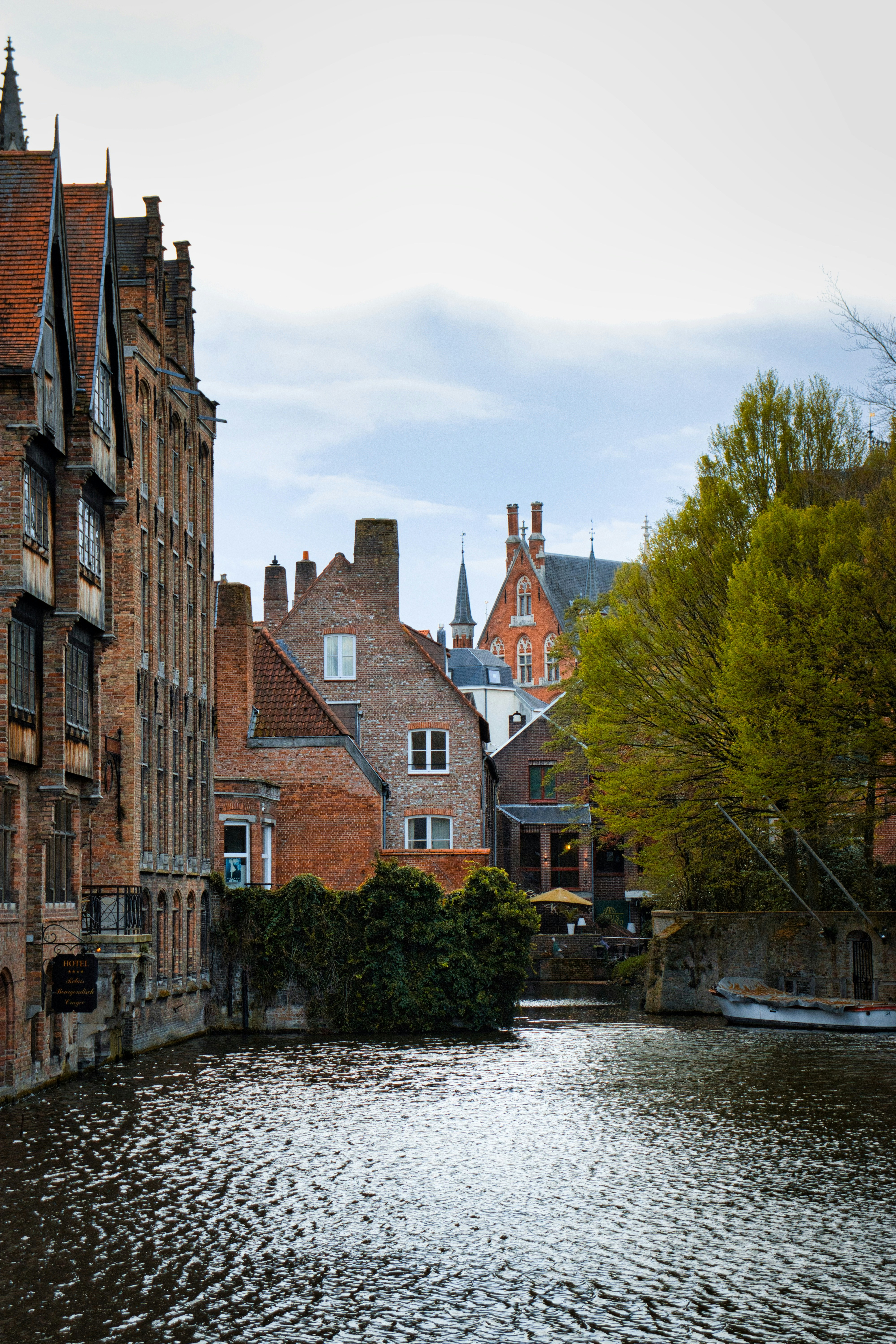 Photo by paws_and_prints