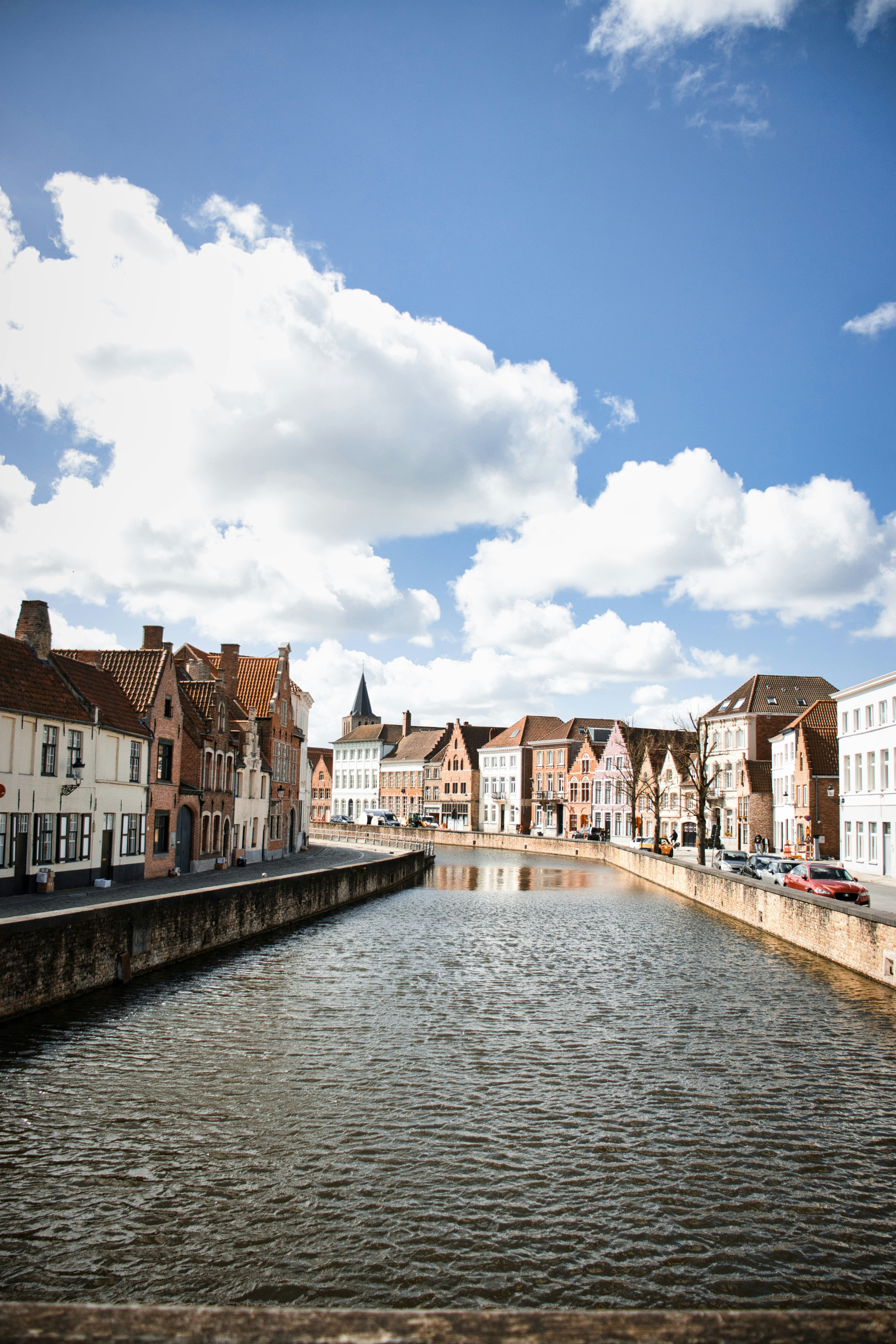 Photo by paws_and_prints