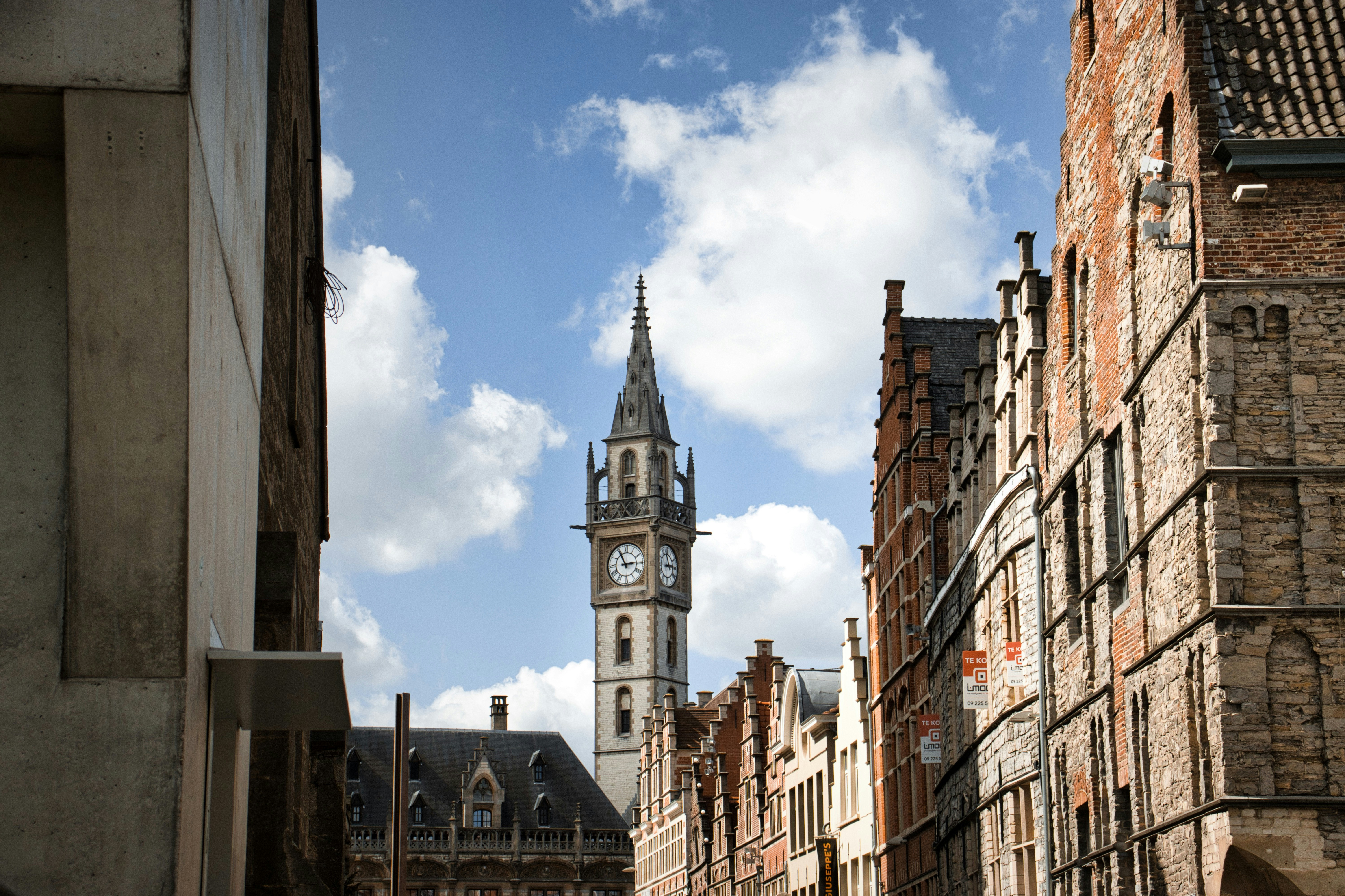 Photo by paws_and_prints