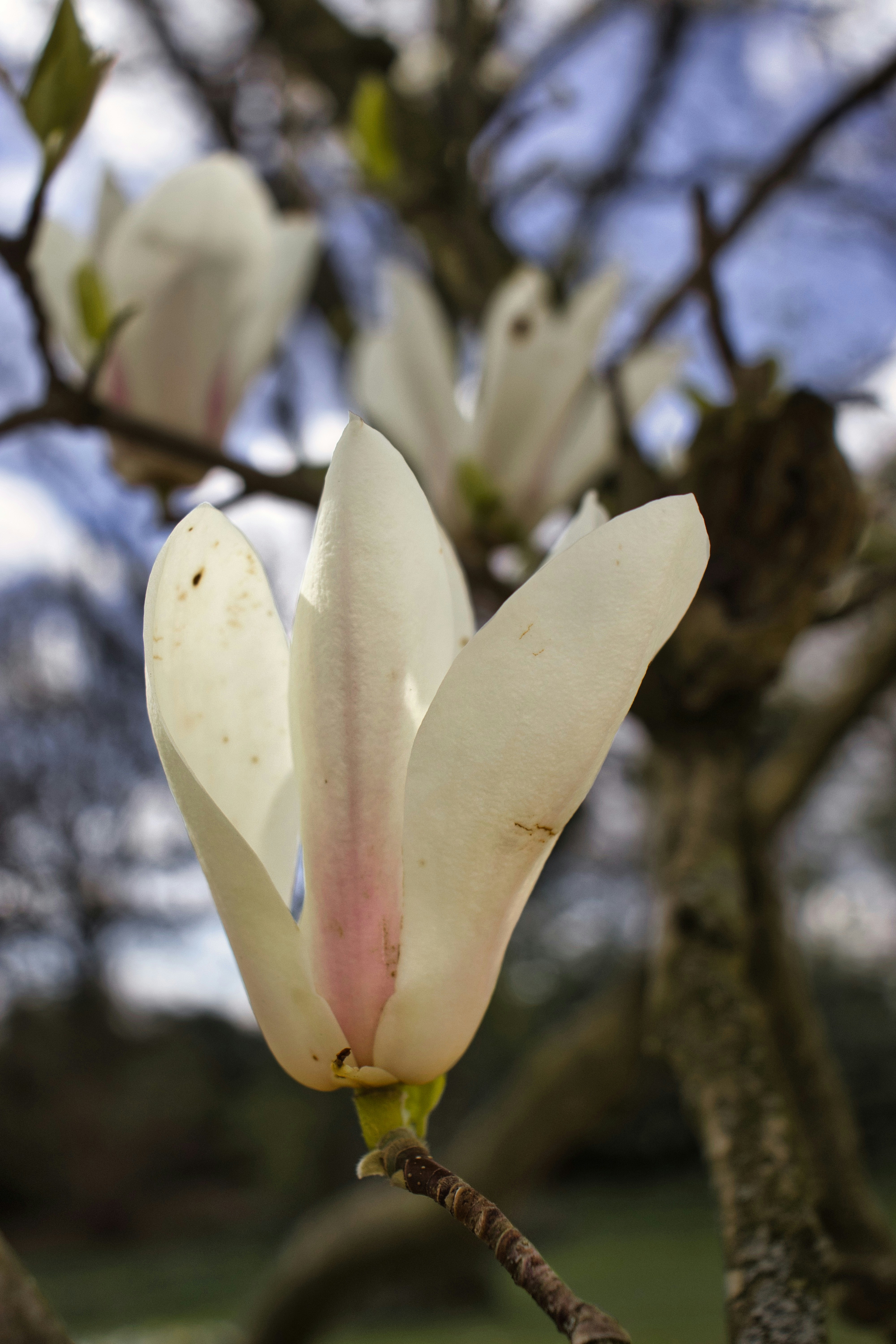 Photo by paws_and_prints