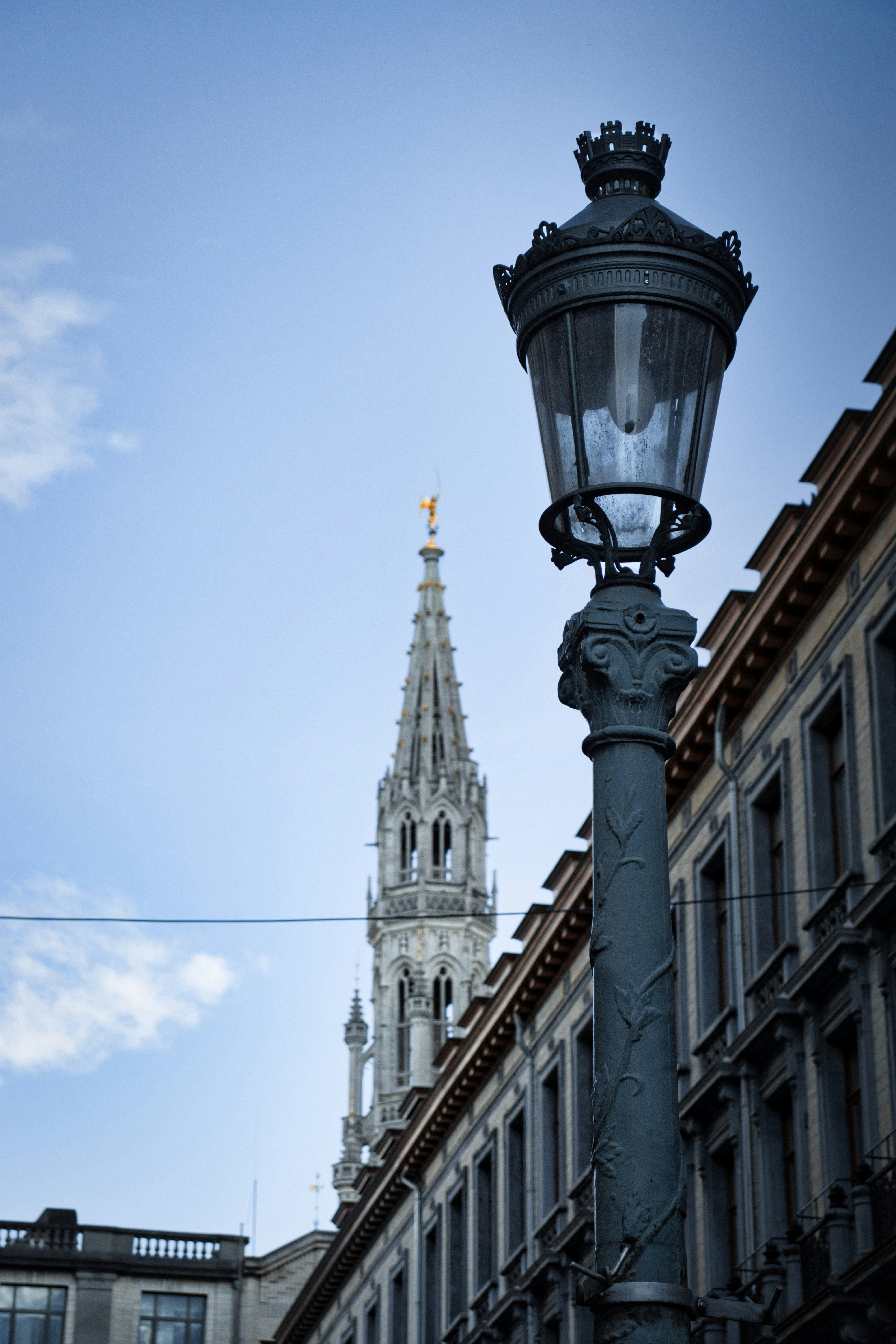 Photo by paws_and_prints