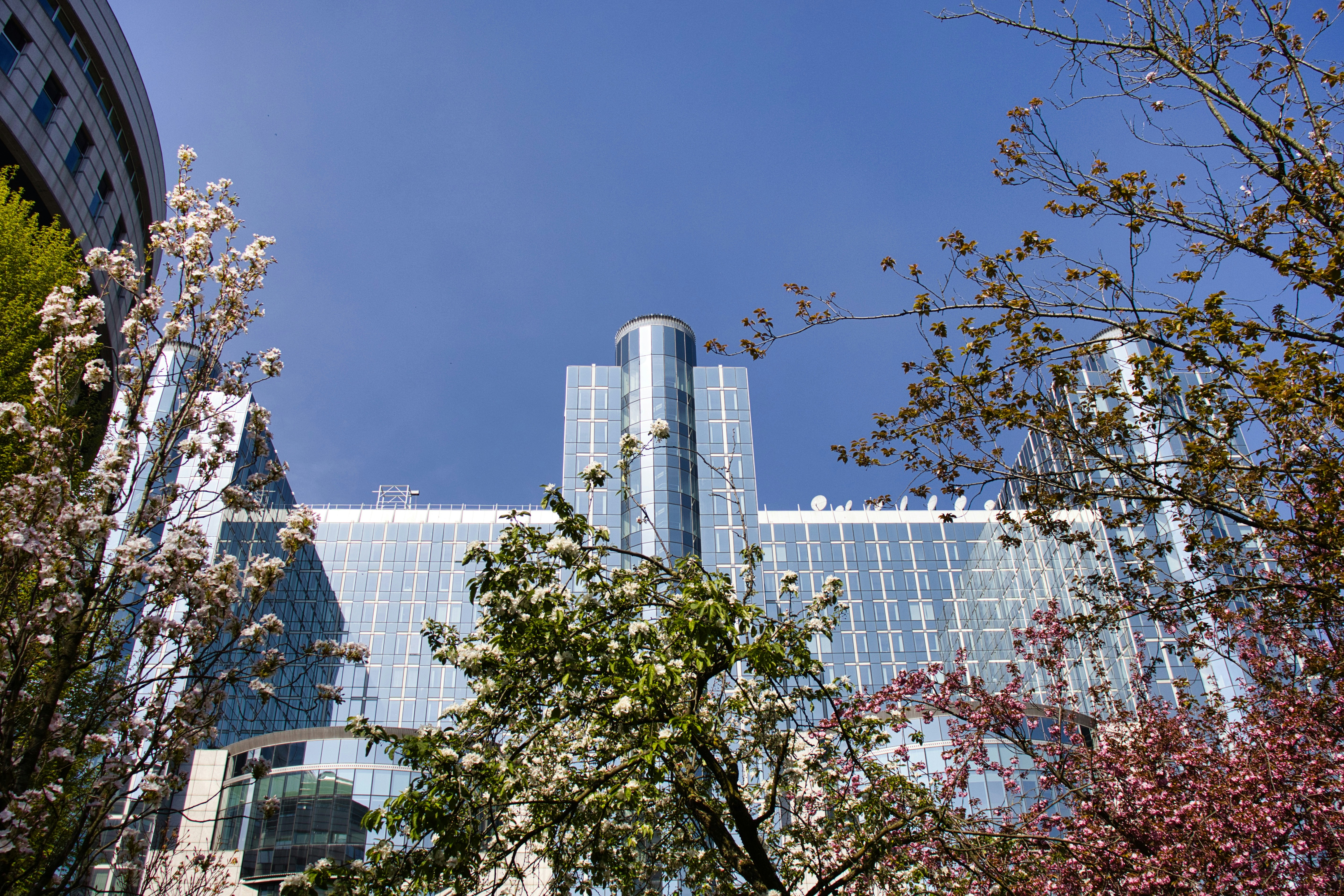 Photo by paws_and_prints