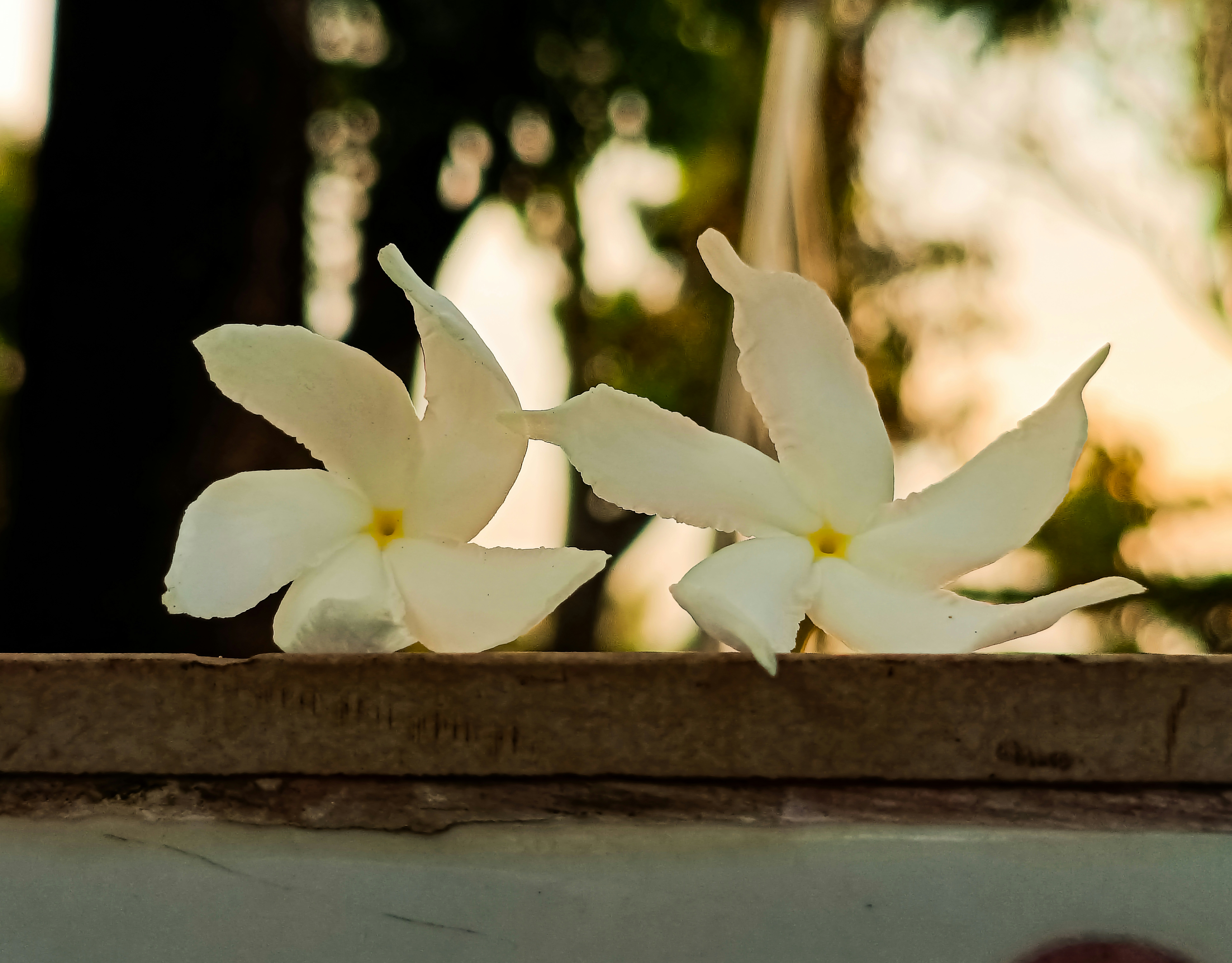 Md Abdul Rouf (@abdulrouf7463) | Unsplash Photo Community