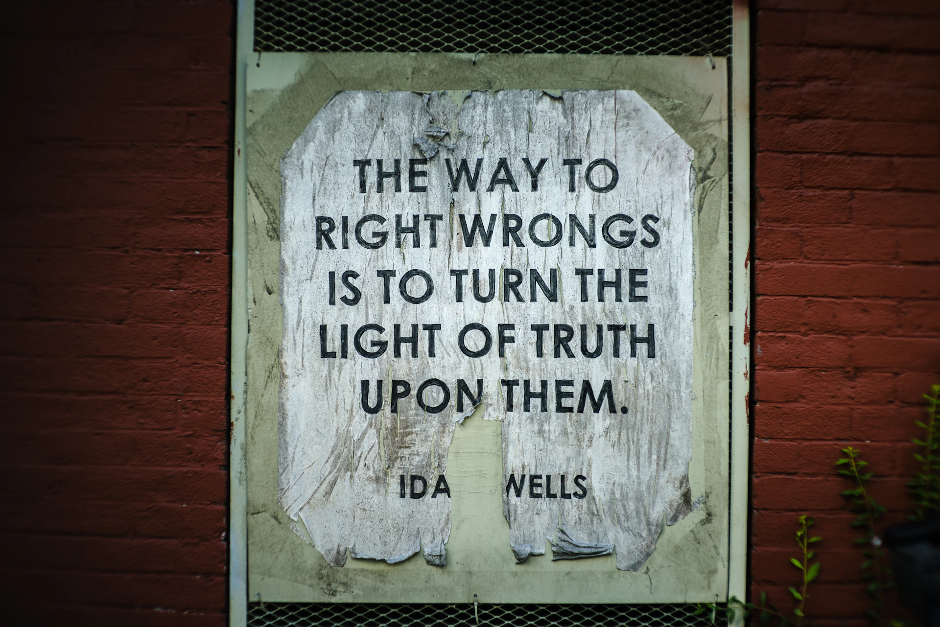 Quote about truth and wrongs by ida wells.