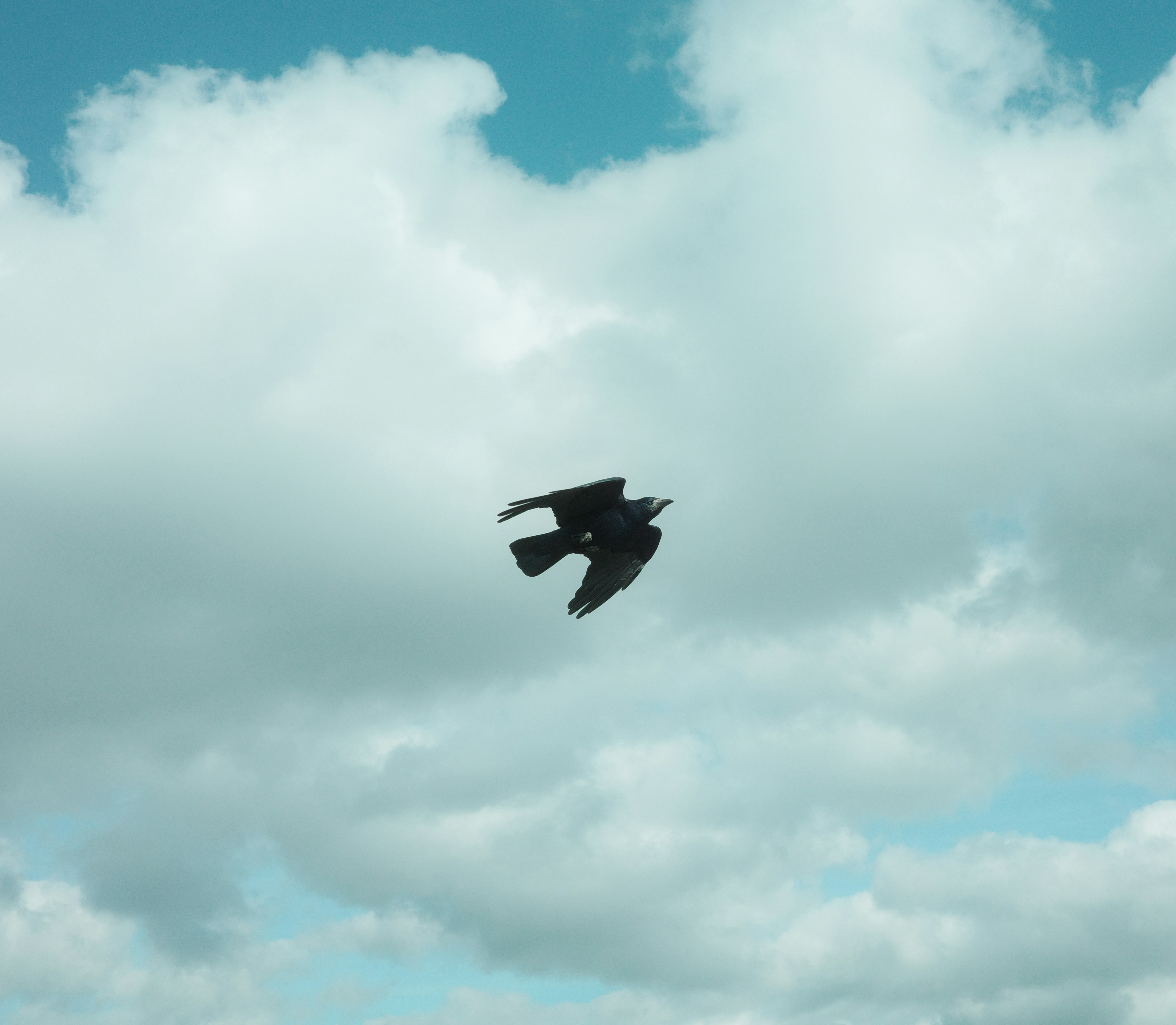 Photo by findway_jerry