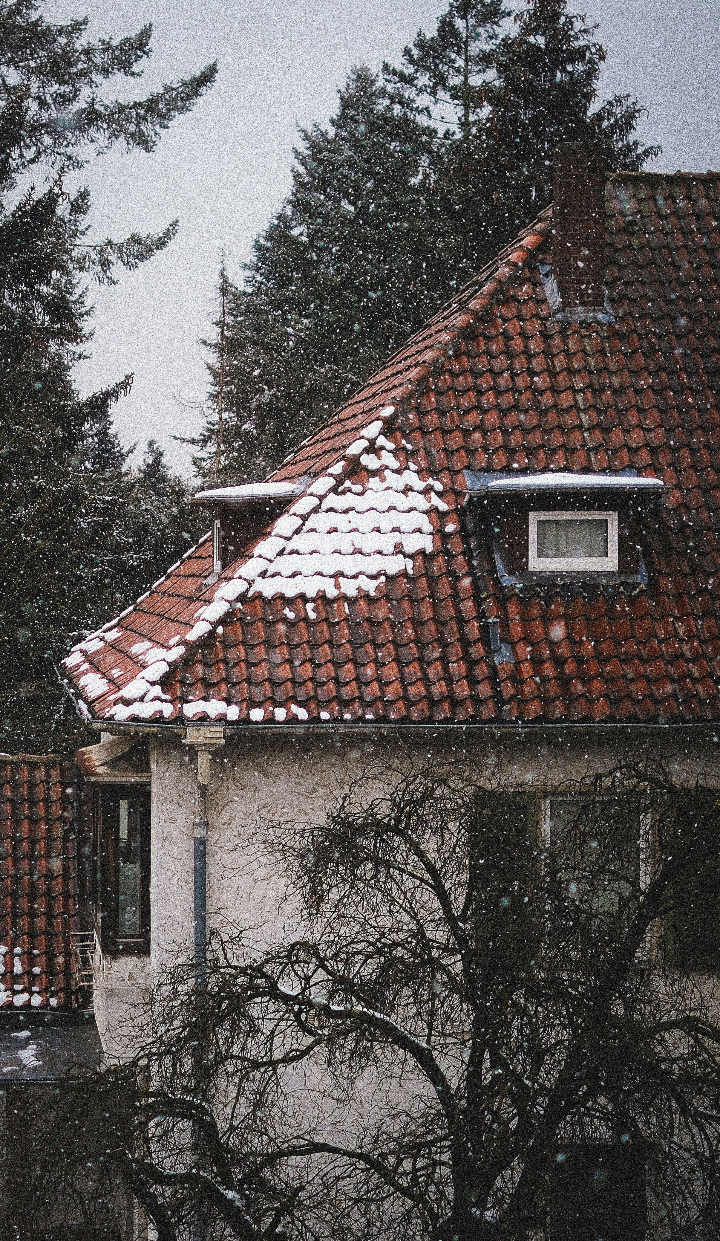 Photo by nomic_photos