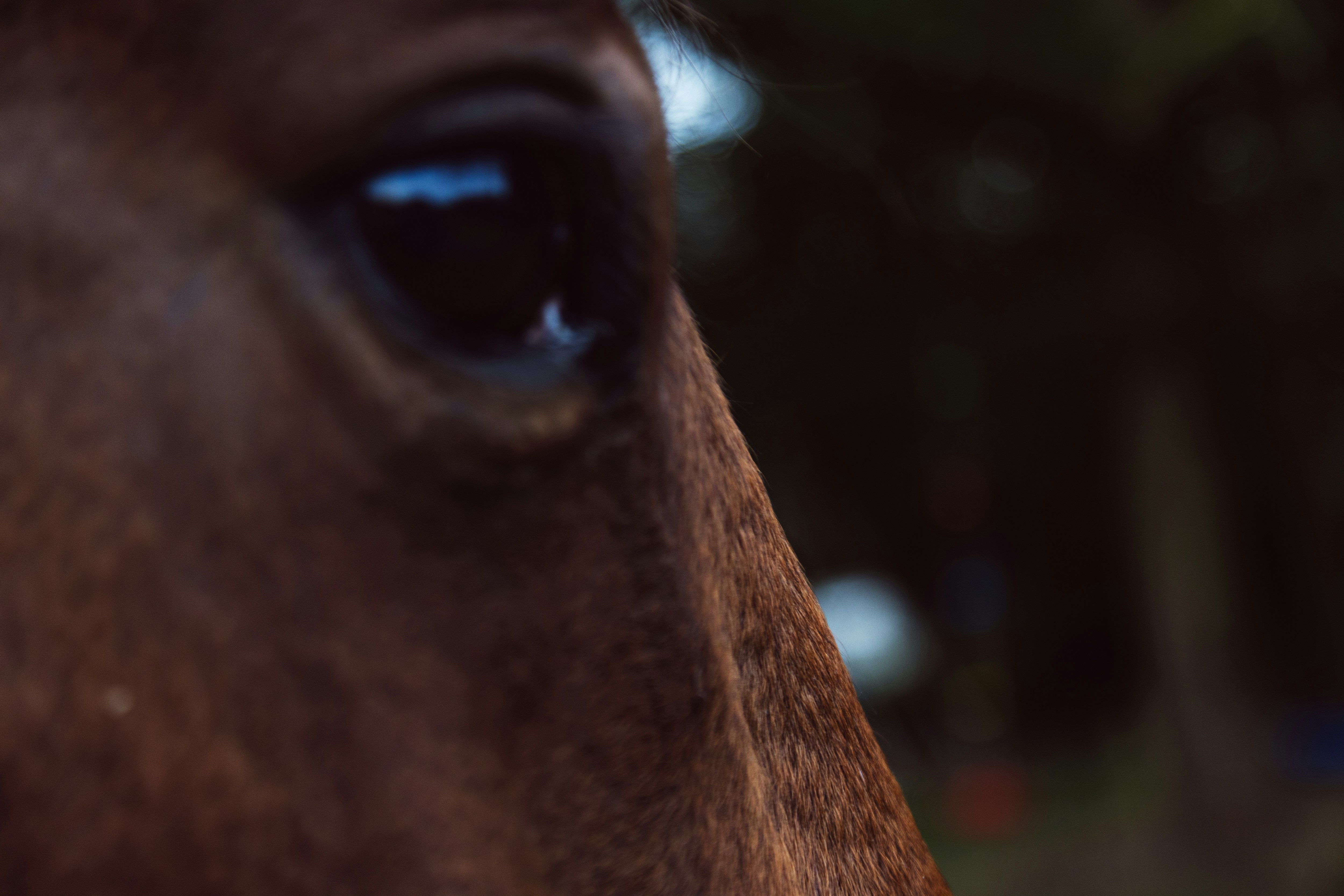 Photo by mikejerskine