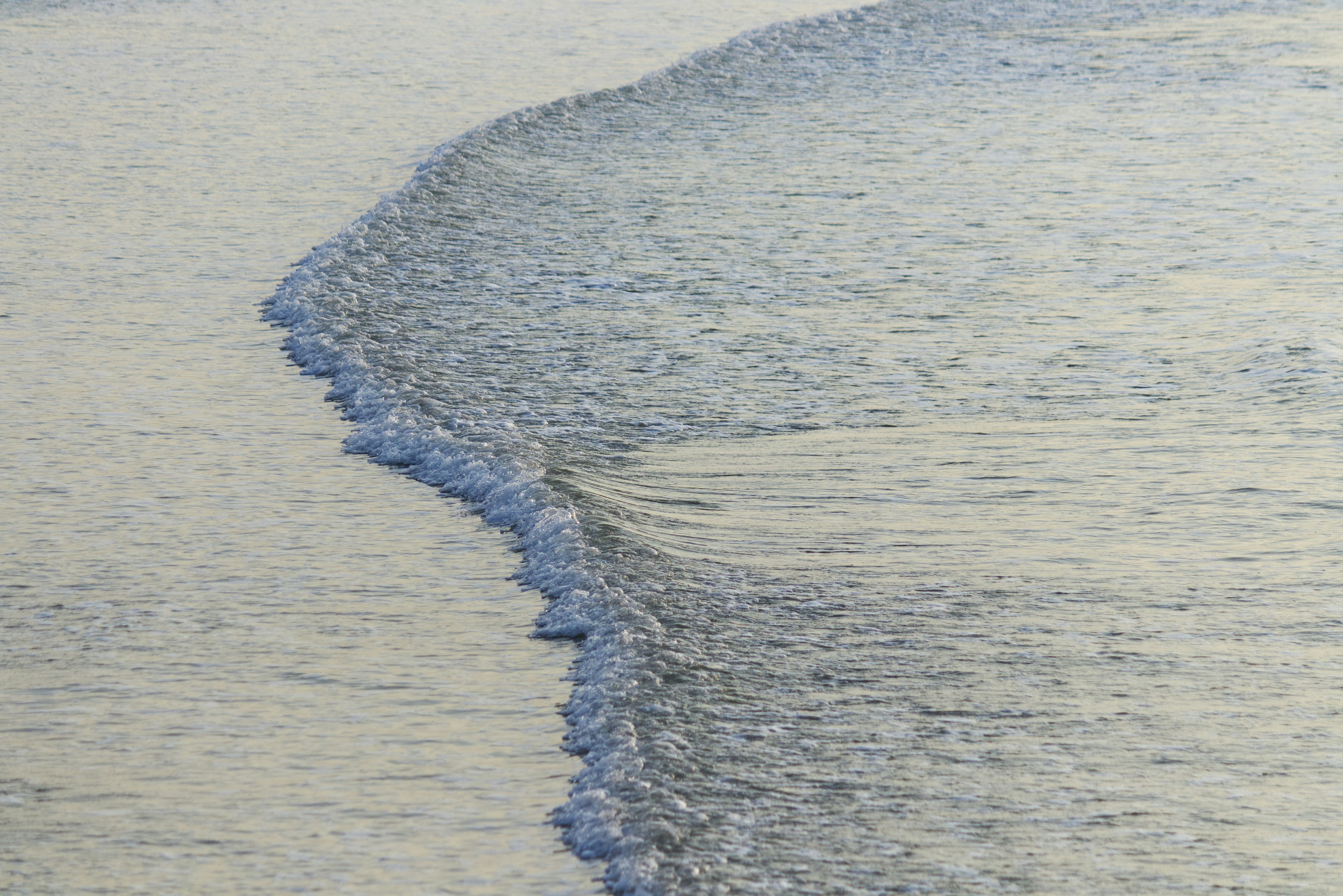 Photo by nickandreka