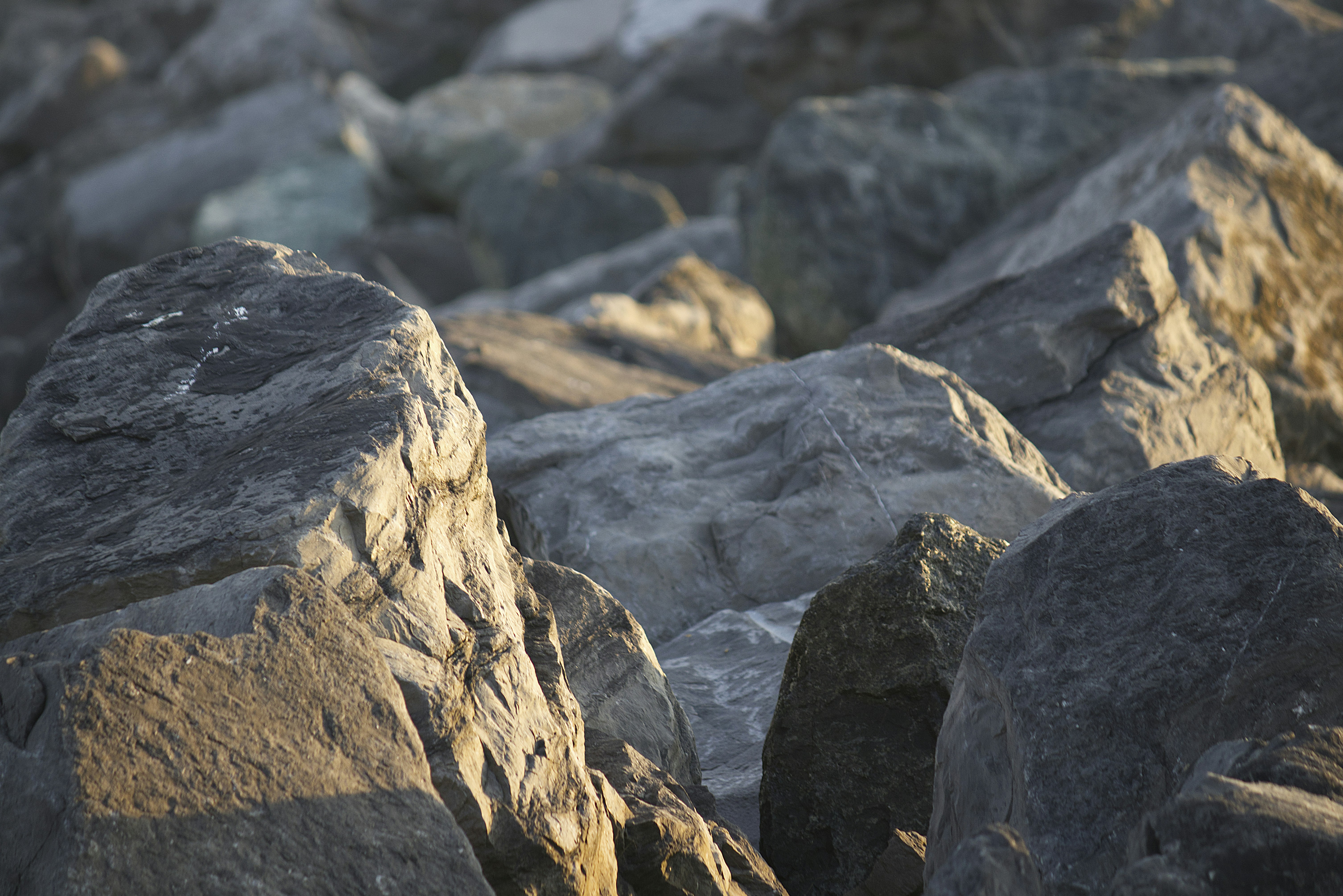 Photo by nickandreka