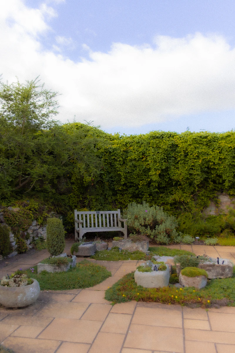 A peaceful garden with a wooden bench and stone planters