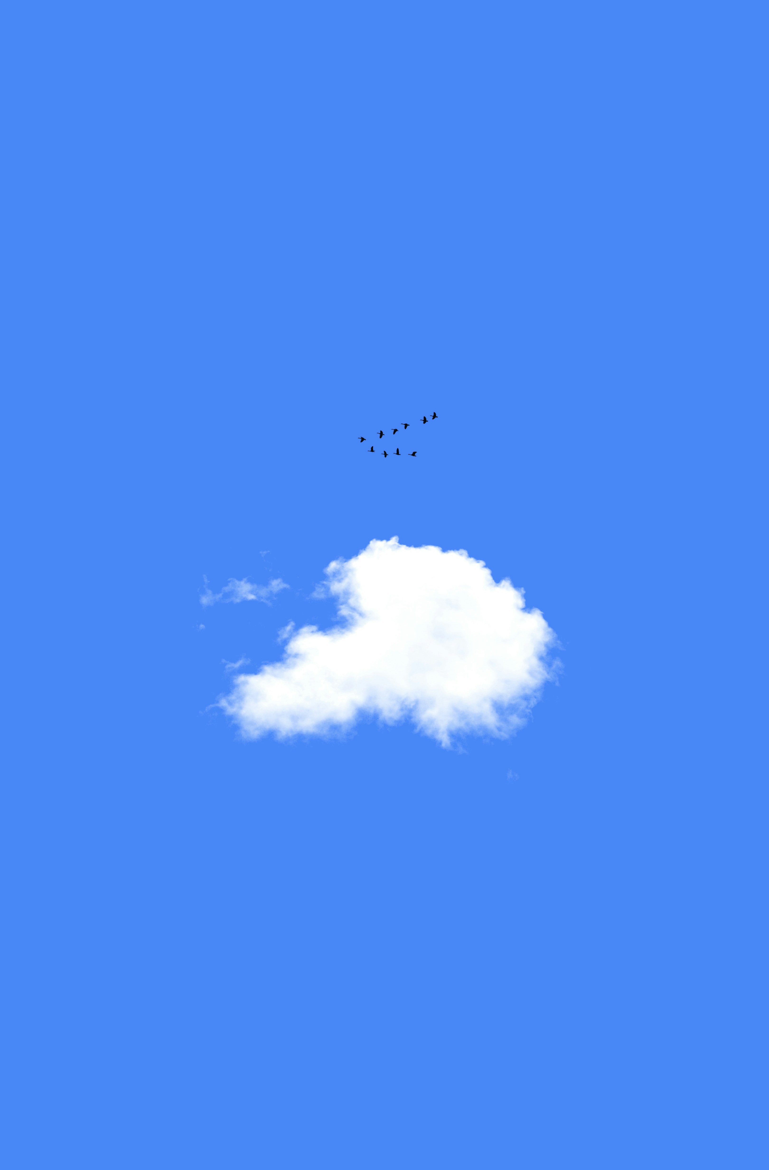 Birds flying in v formation above a single cloud.