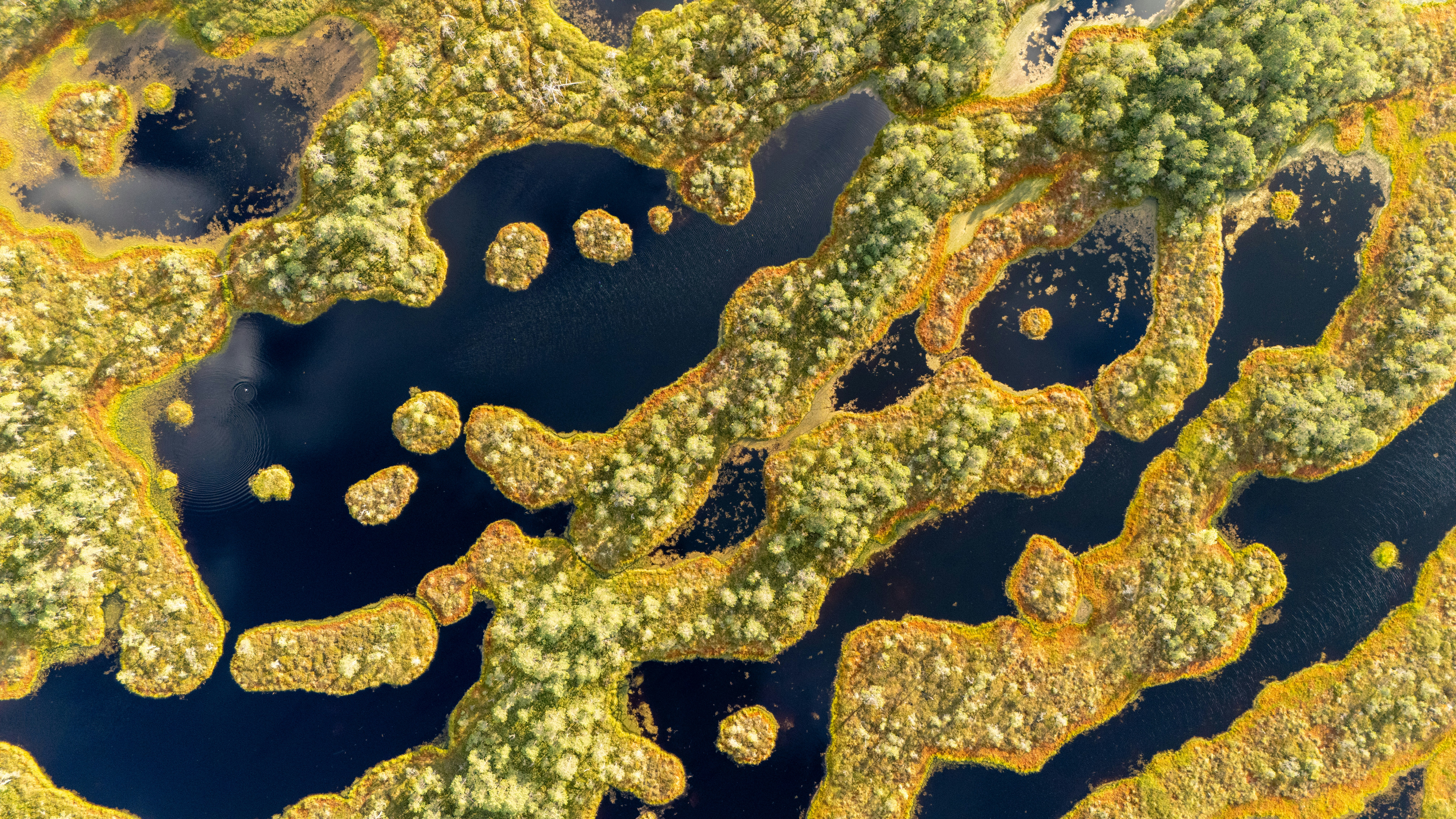 Photo by sanderhallaste