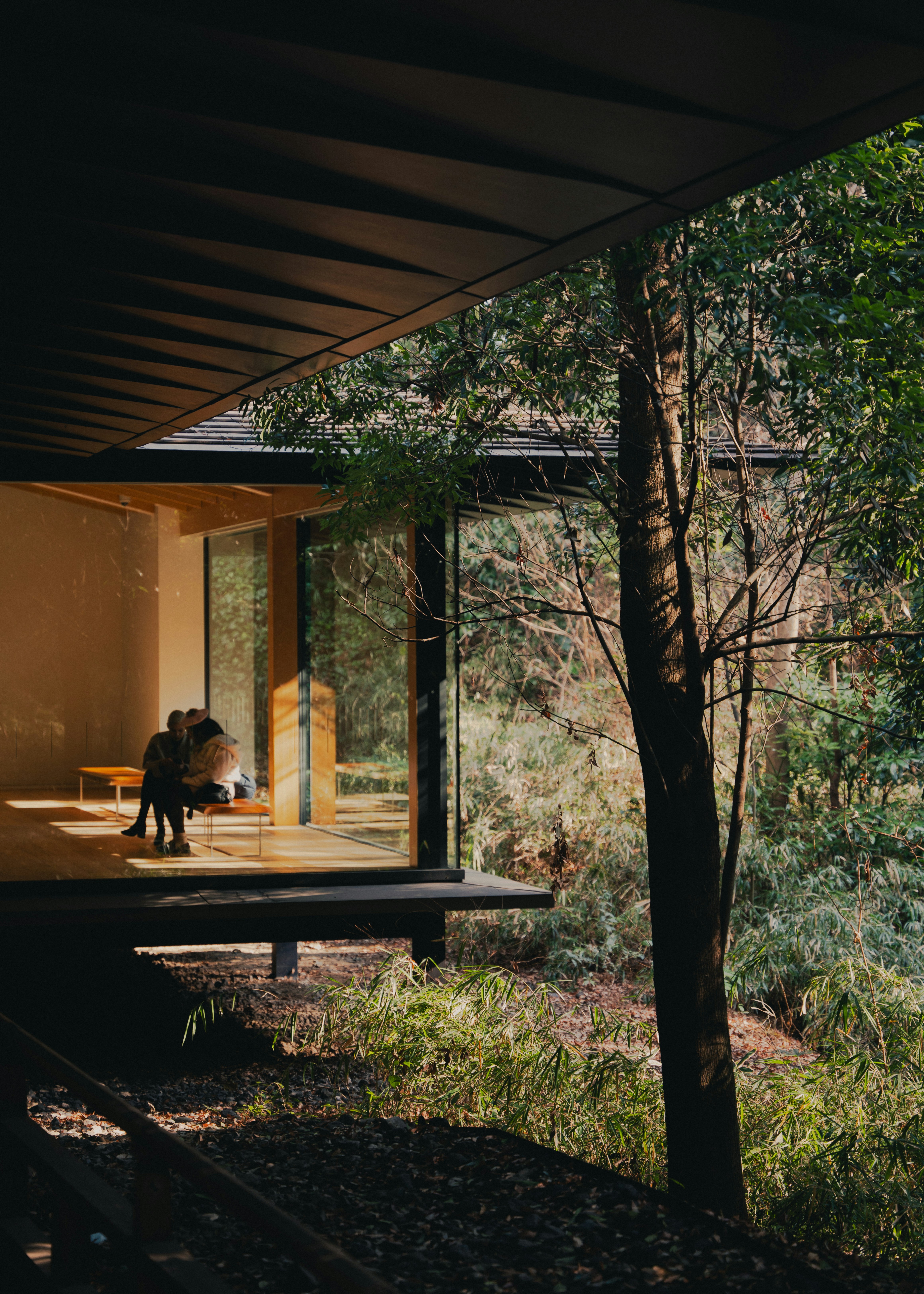 Japanese forest café exterior