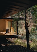 Modern house with large windows overlooking forest