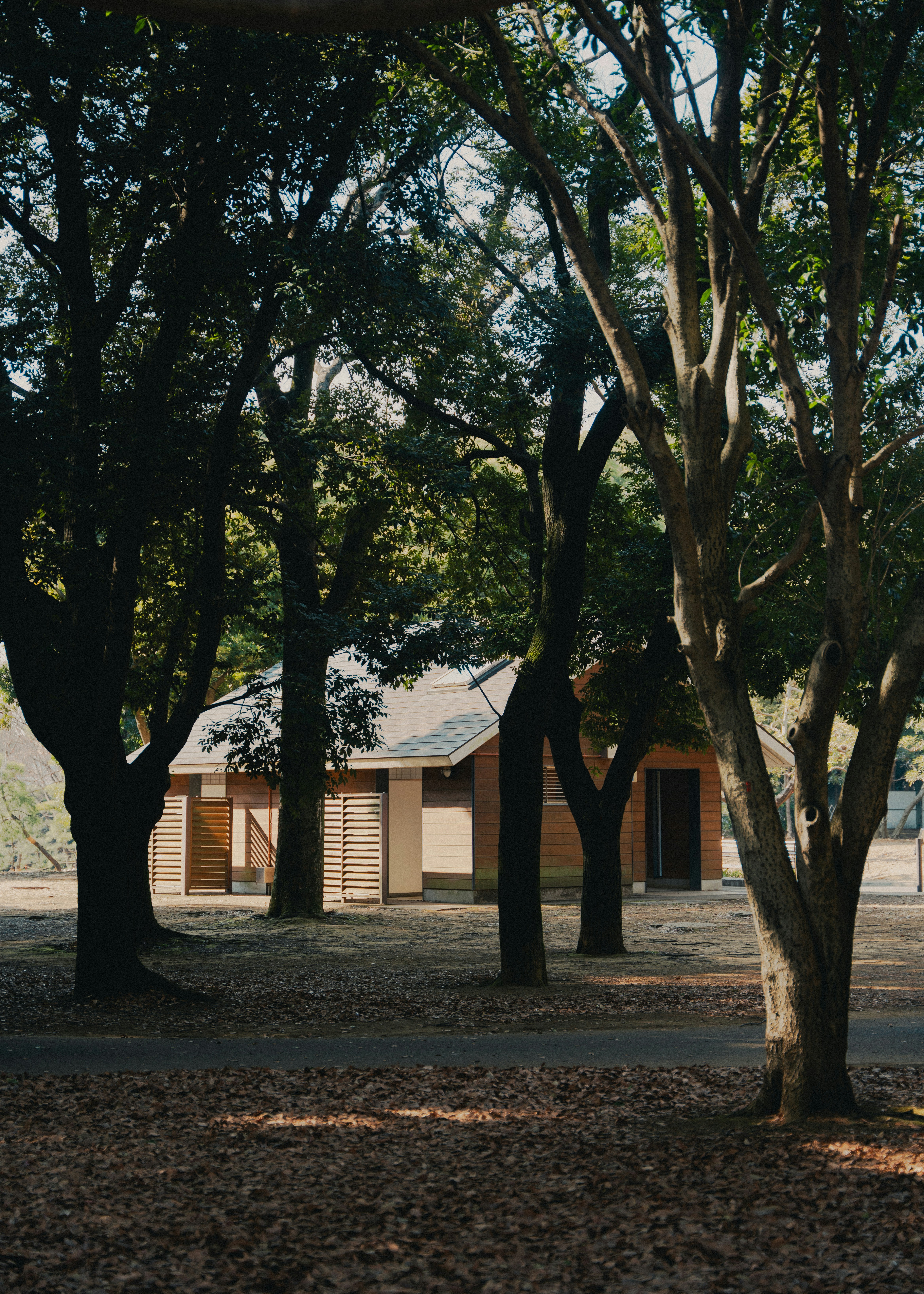 Photo by johannessejer