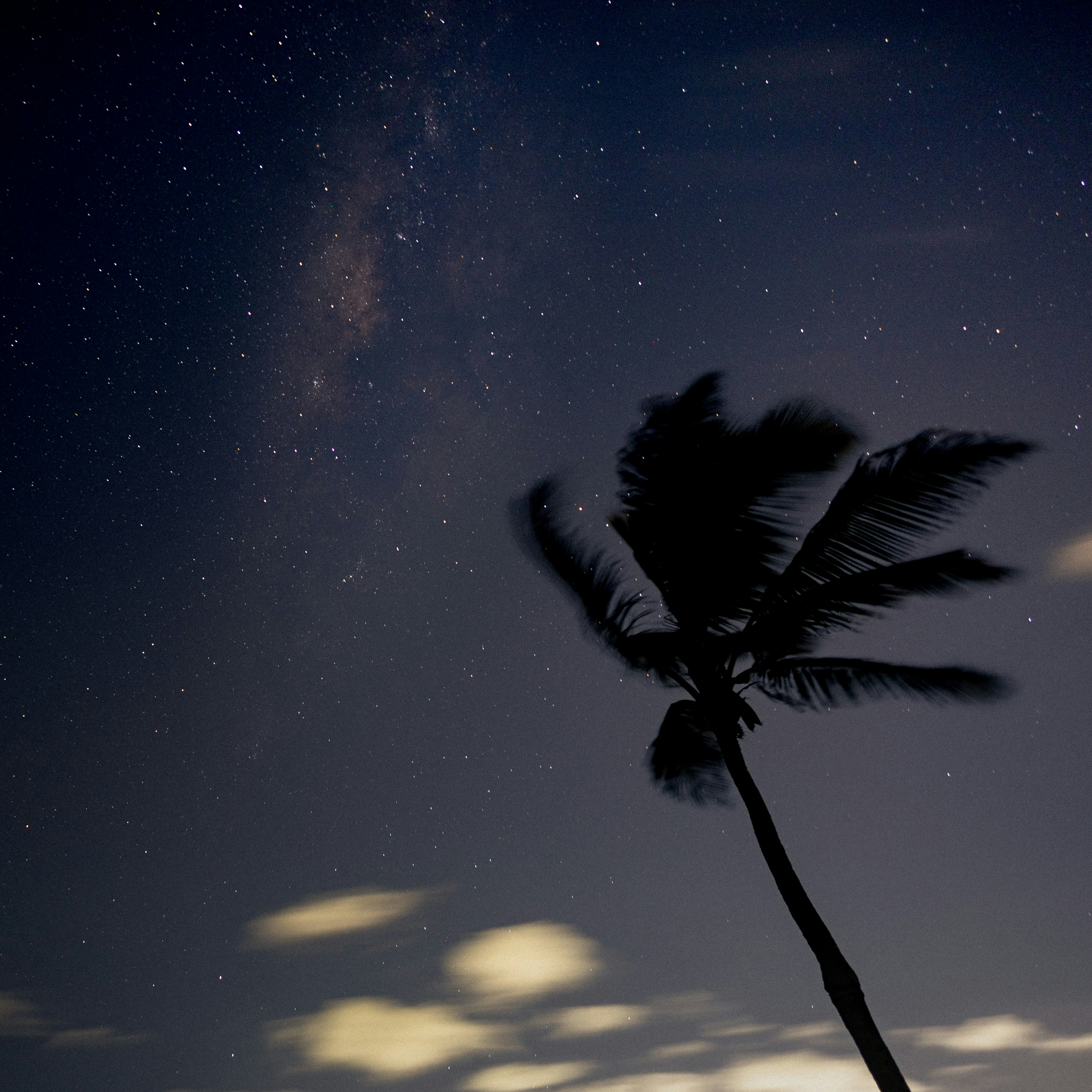 Photo 1759191639082 B34765bea9e5?ixid=M3w1ODkyNzF8MHwxfHNlYXJjaHw0fHxzdGFycnklMjBuaWdodCUyMHNreXxlbnwwfDJ8fHwxNzczMzIzMTg3fDA&ixlib=rb 4.1