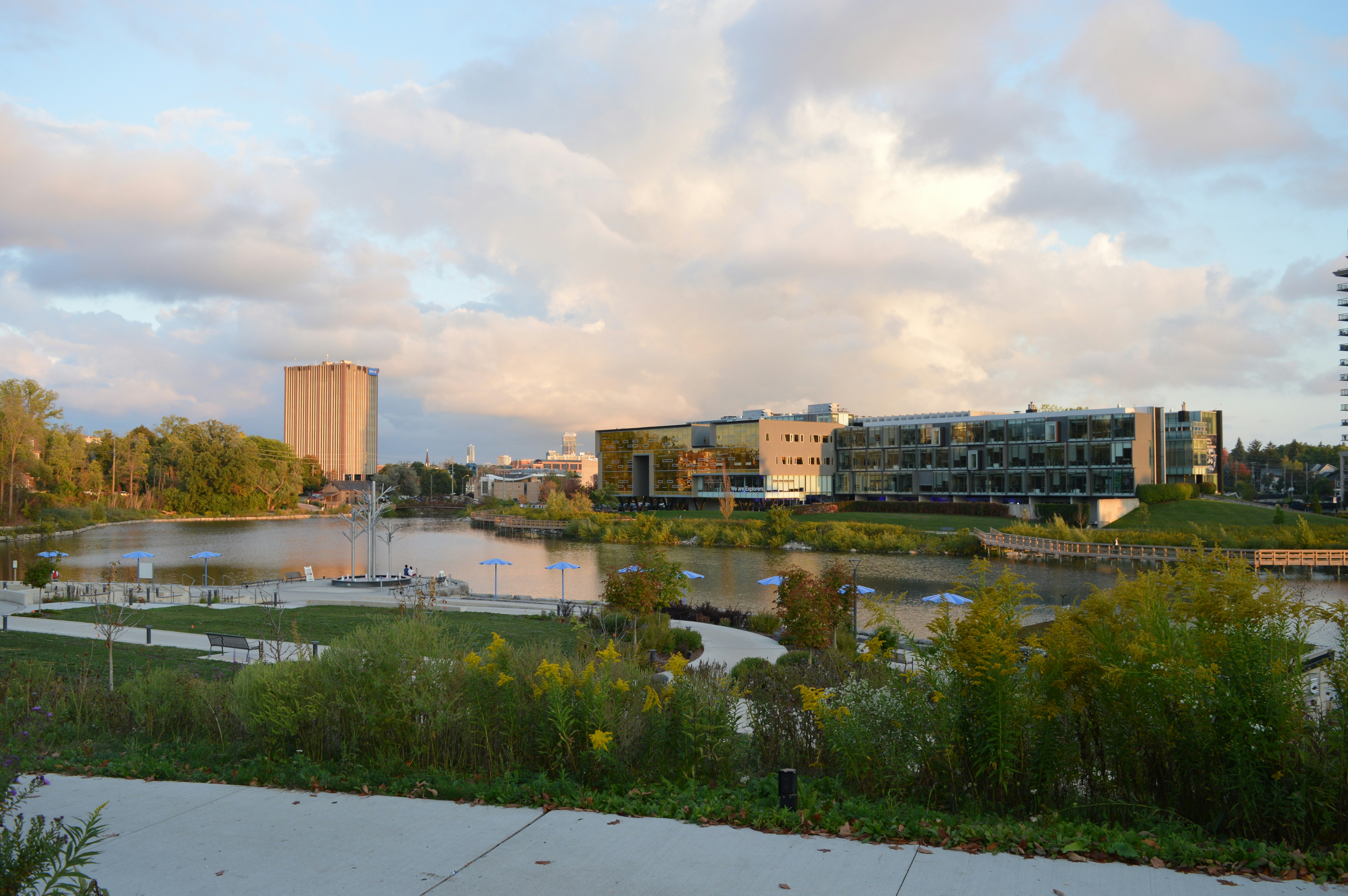 Creating Your Own Adventure: How to Host a Live Reading Inspired by Thrill-Seeking Events