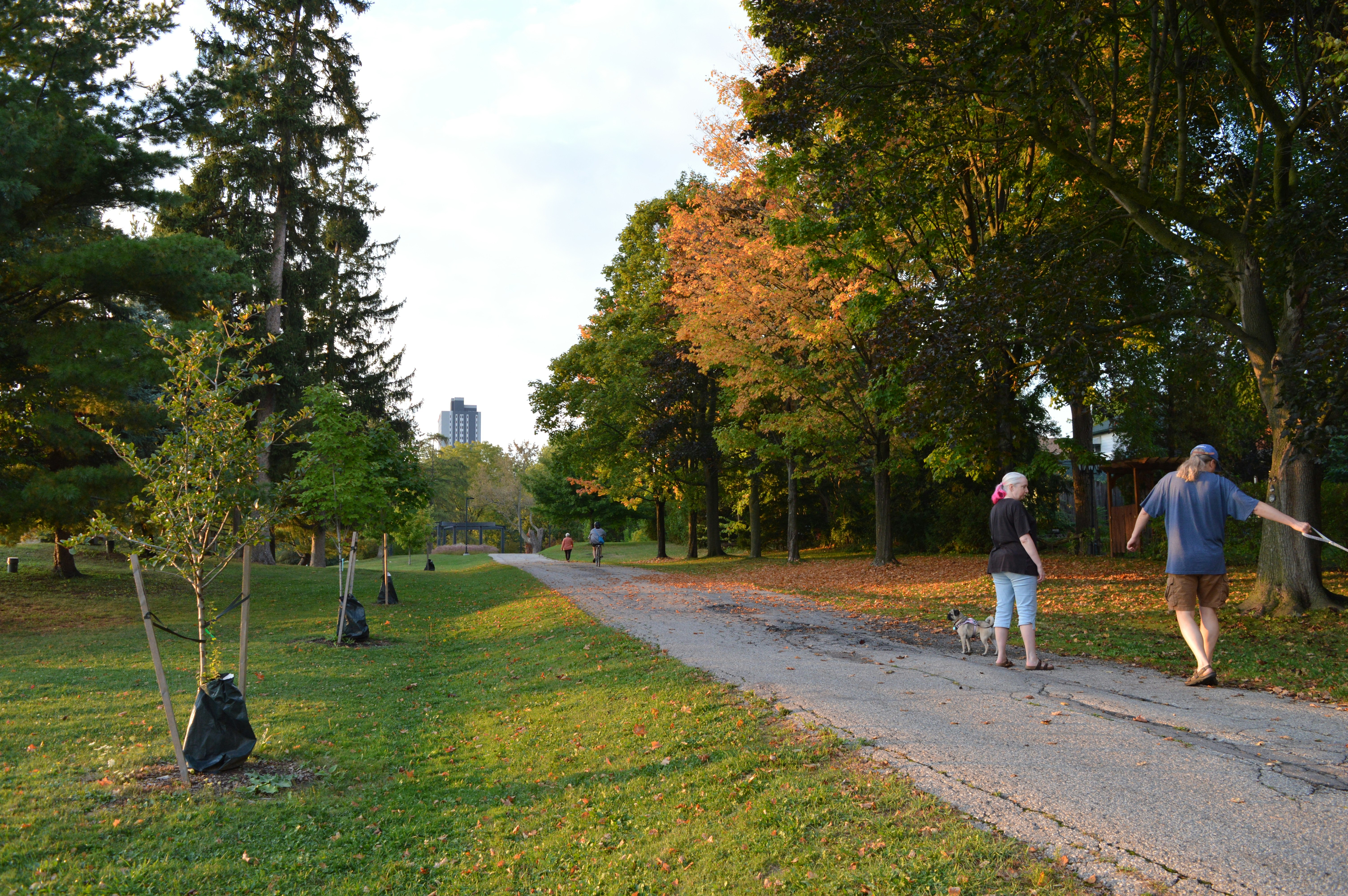 Two people walk their dog on a park path.