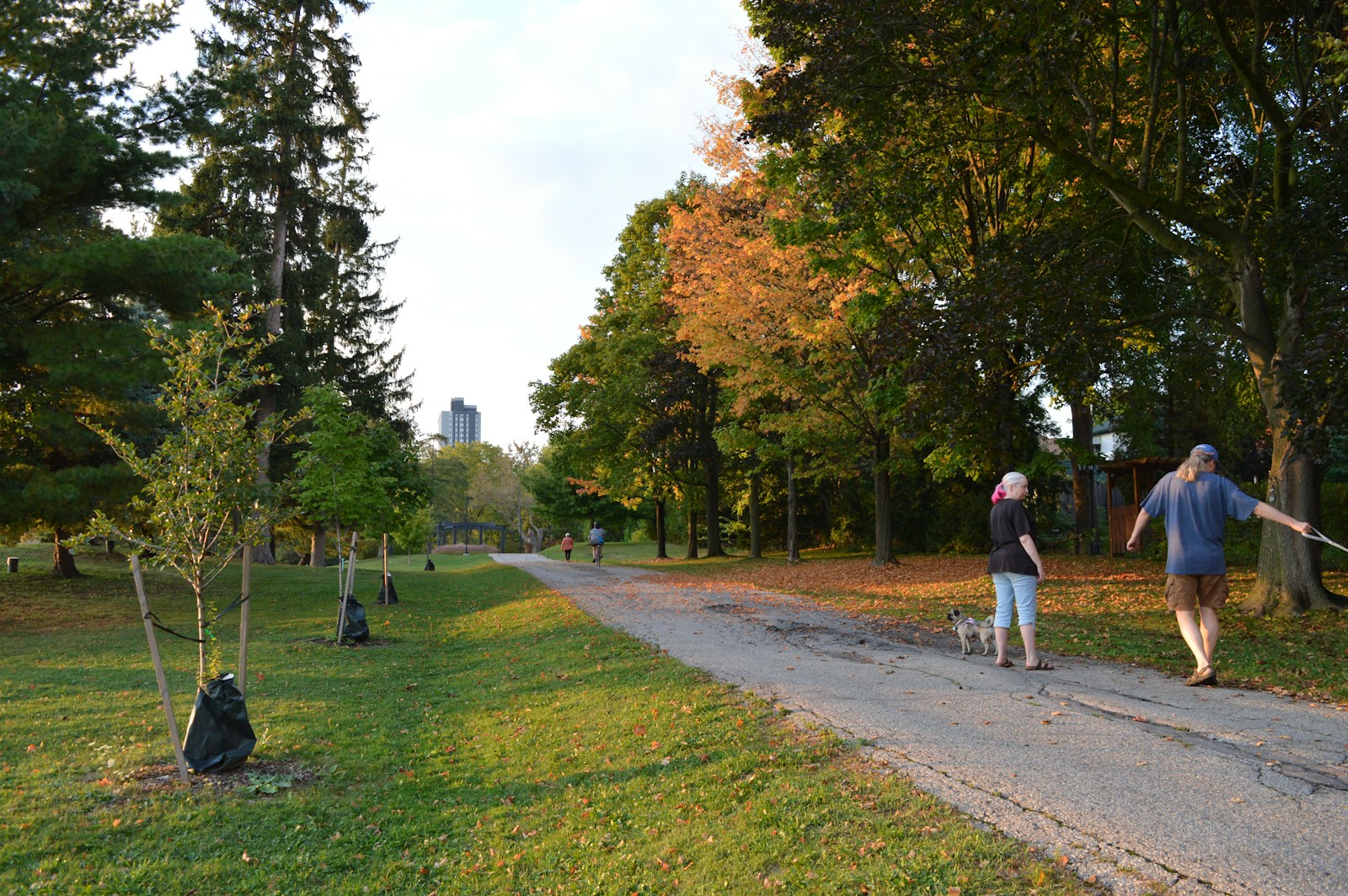 Living in Uptown Waterloo: What Buyers Need to Know Before Moving Here
