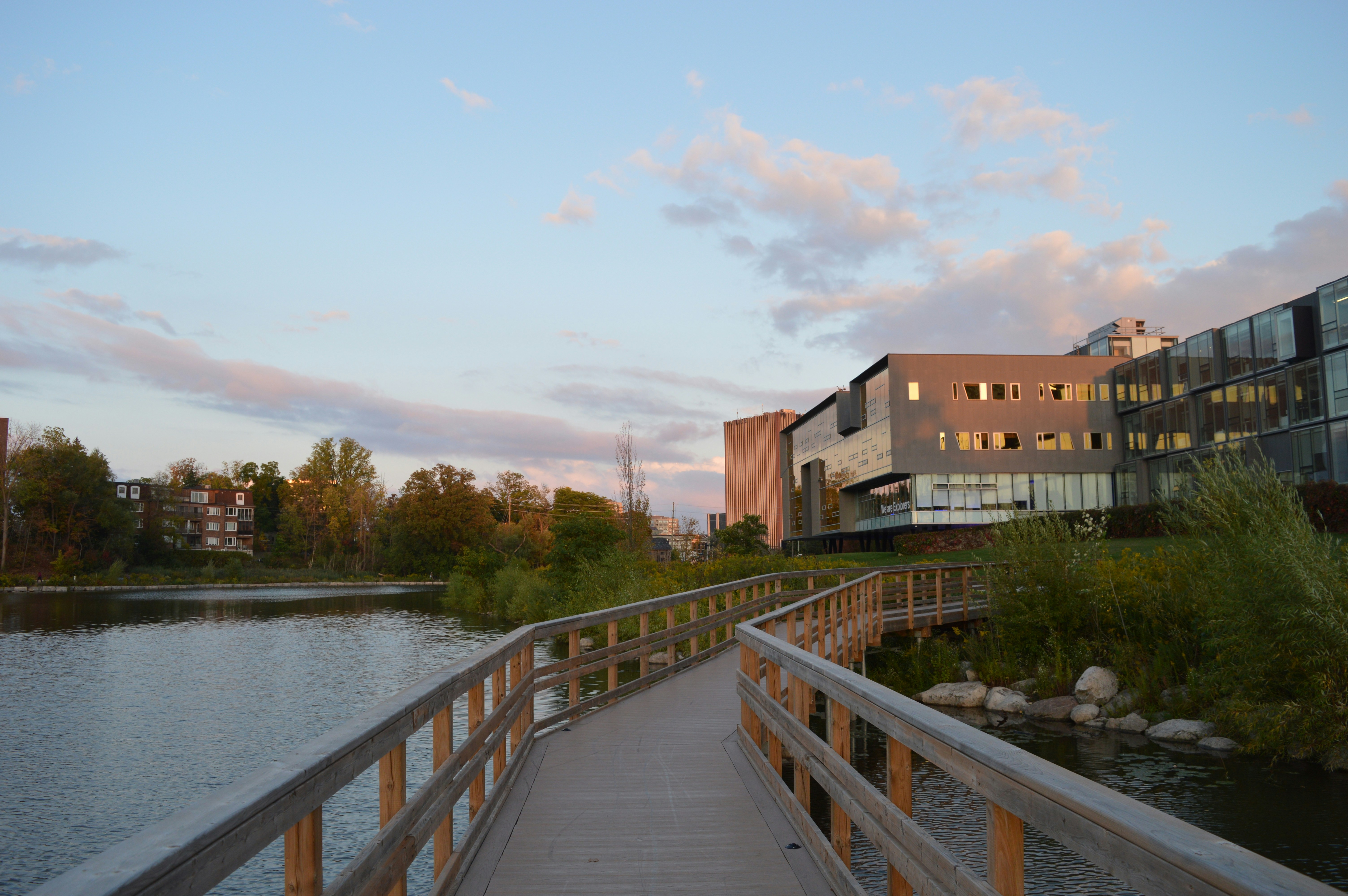 Wooden boardwalk curves towards modern building by water.